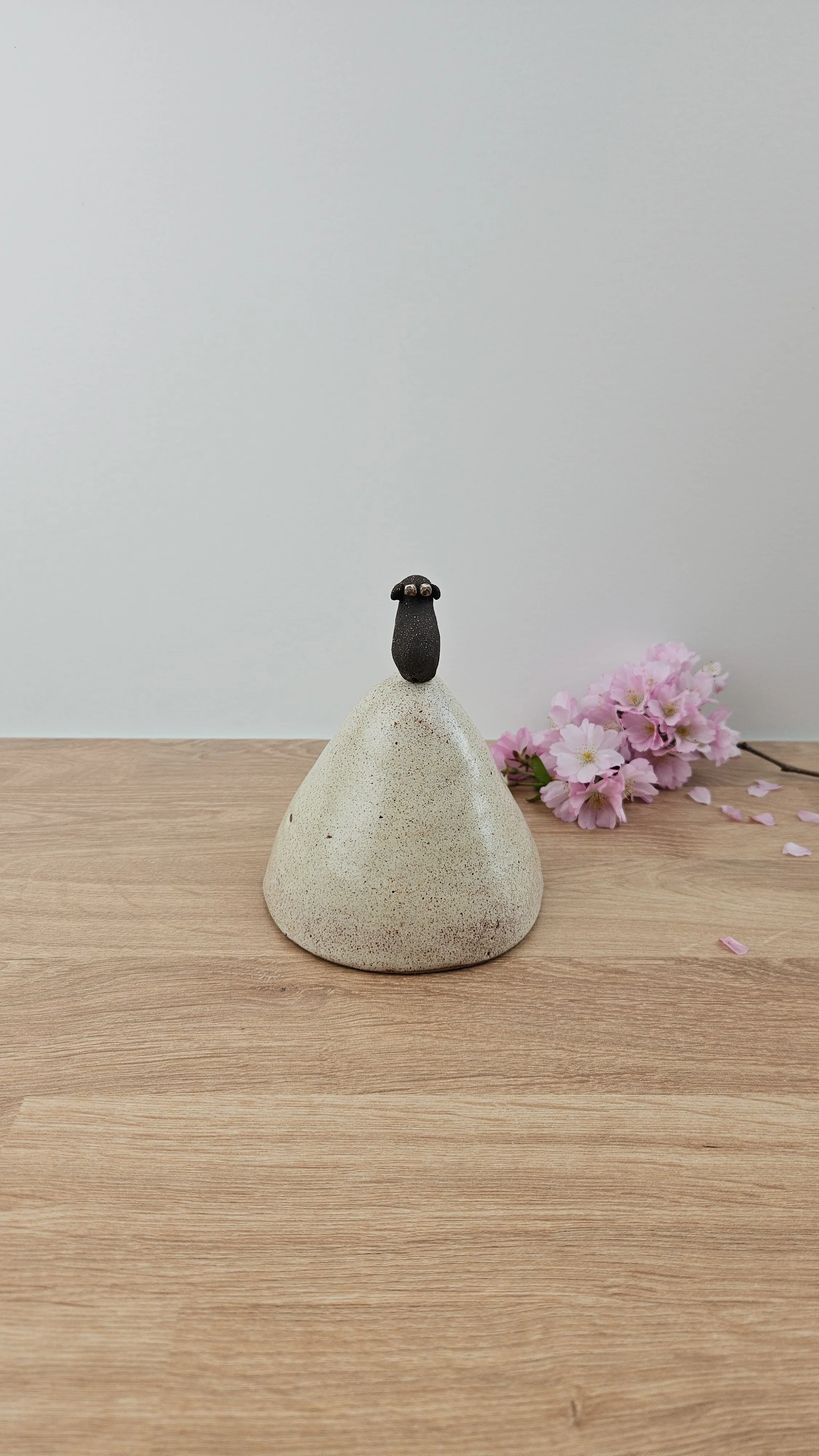 montagne biquette 120260319_142023.jpg