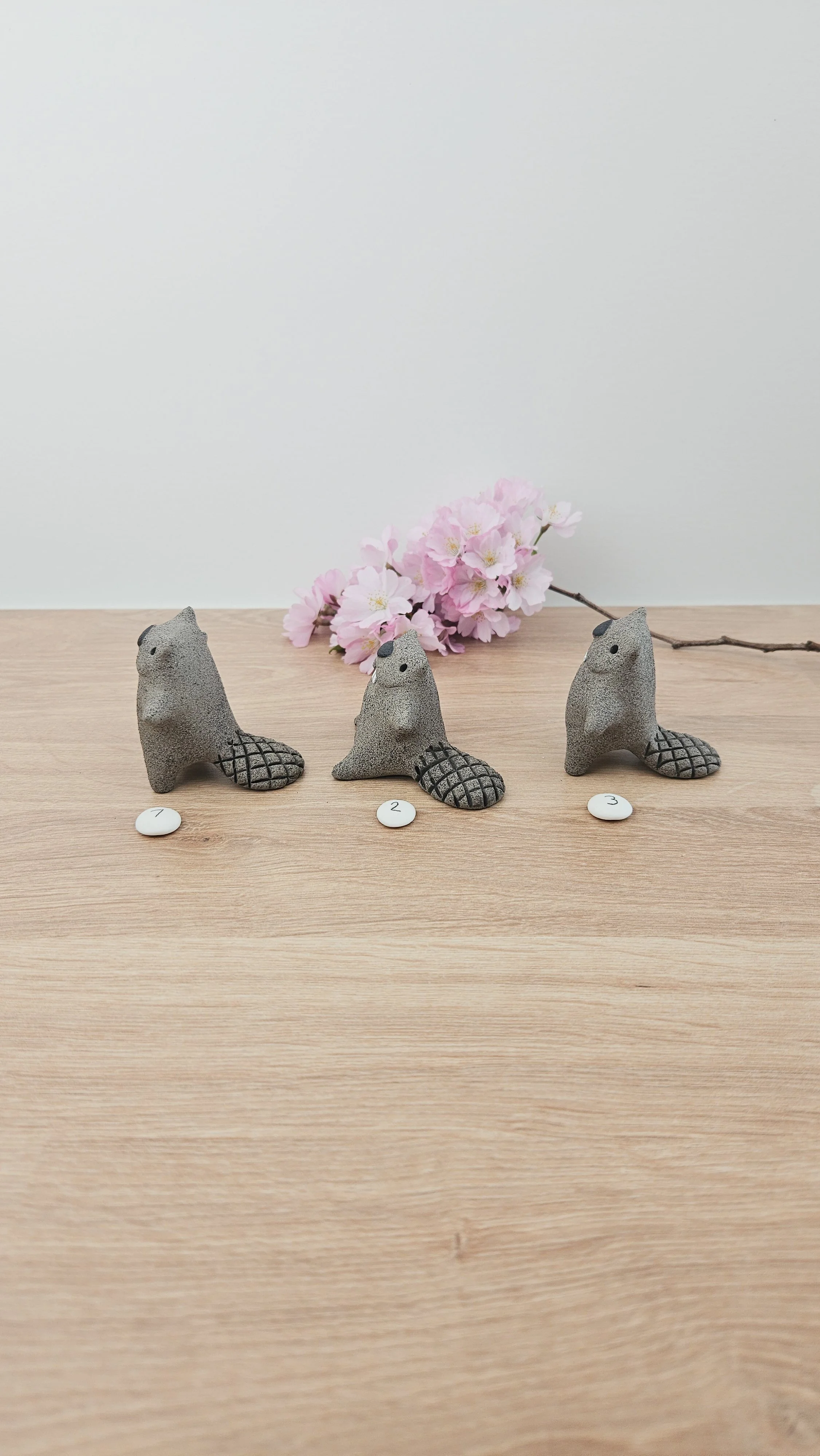 Mini Castor 20260318_134451.jpg