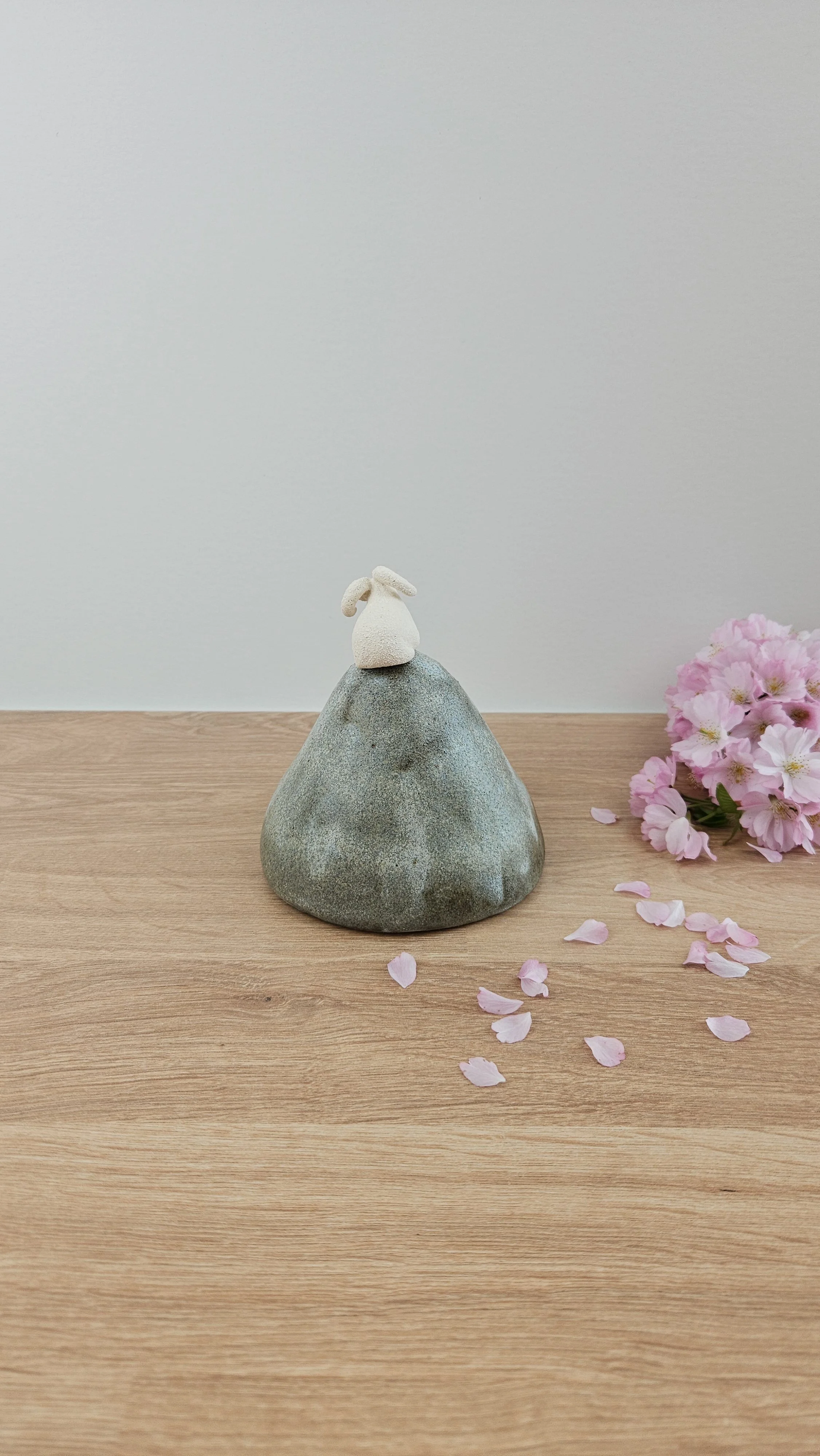 montagne Bouc 420260319_124044.jpg