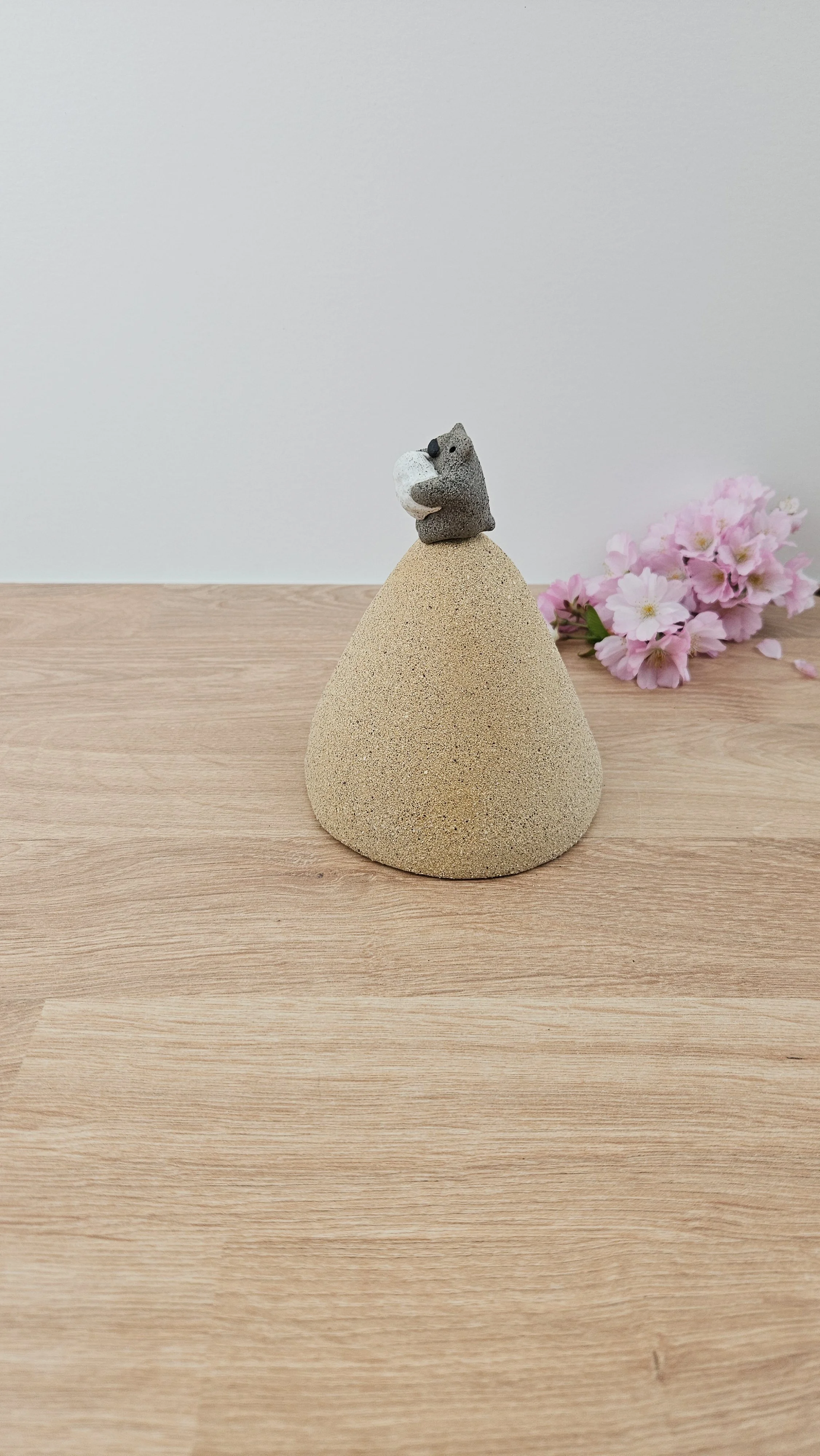 montagne nuage 820260319_144336.jpg