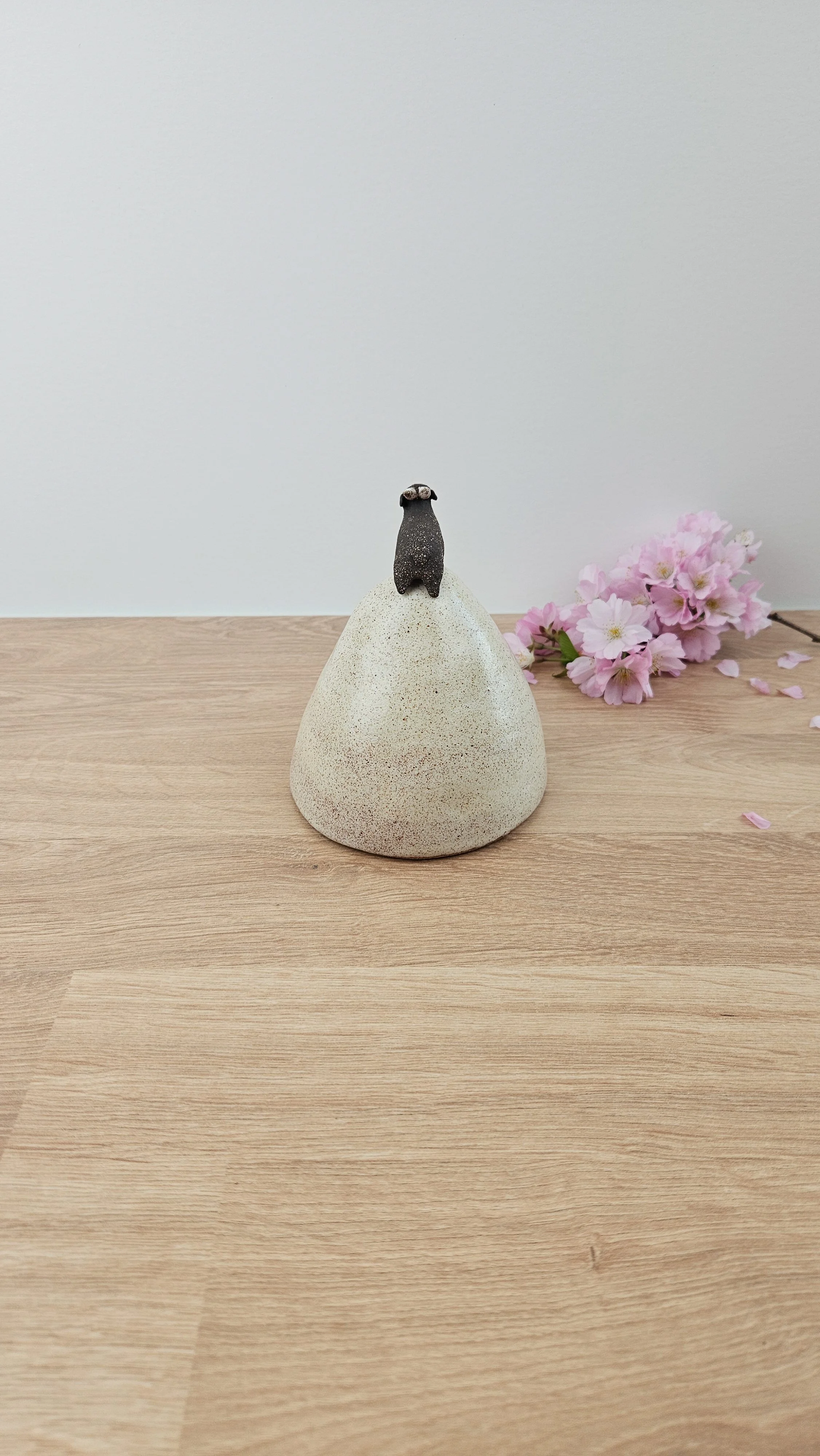 montagne biquette 220260319_142227.jpg