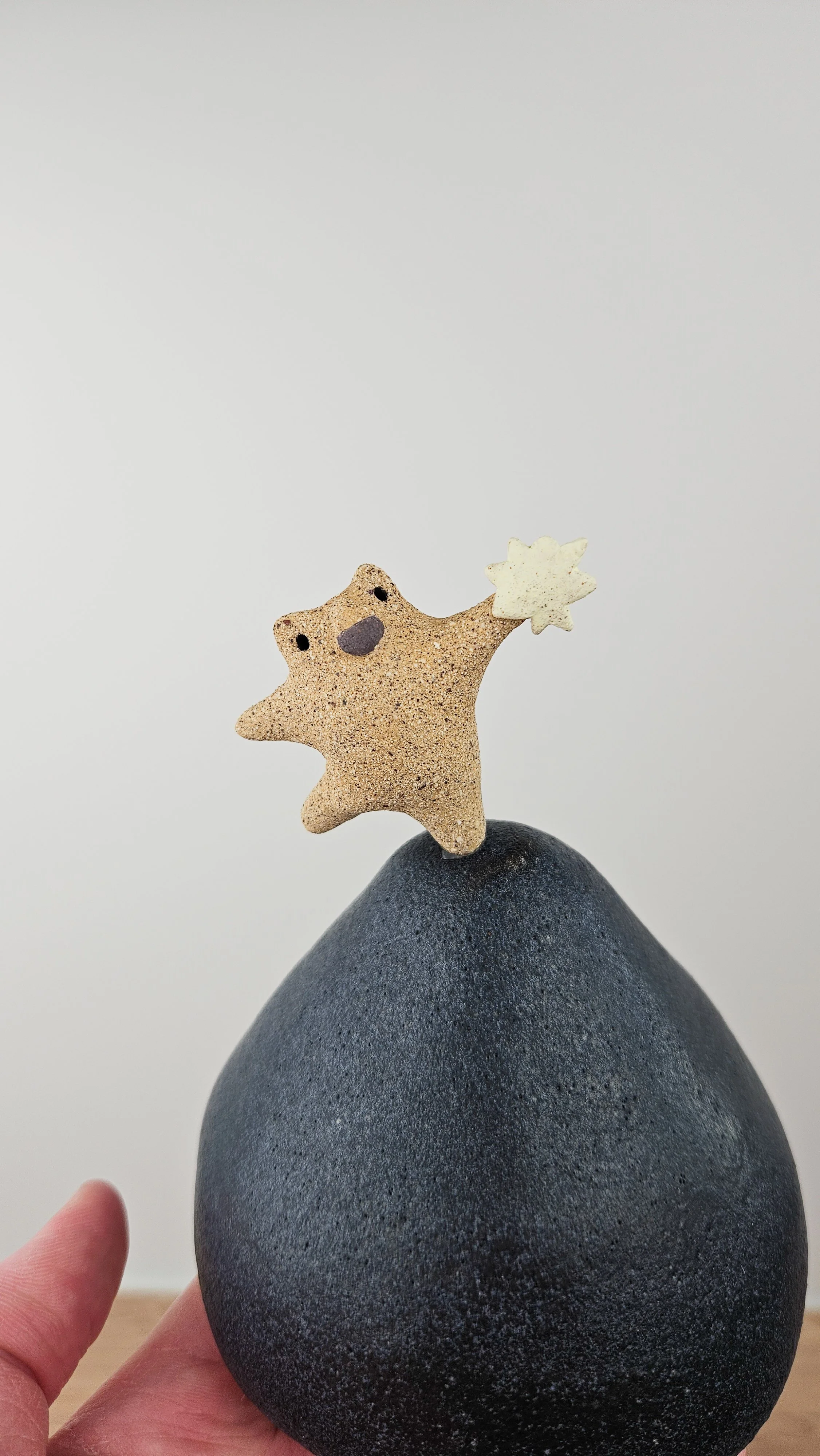 Danseur étoile 1 20260318_145225.jpg