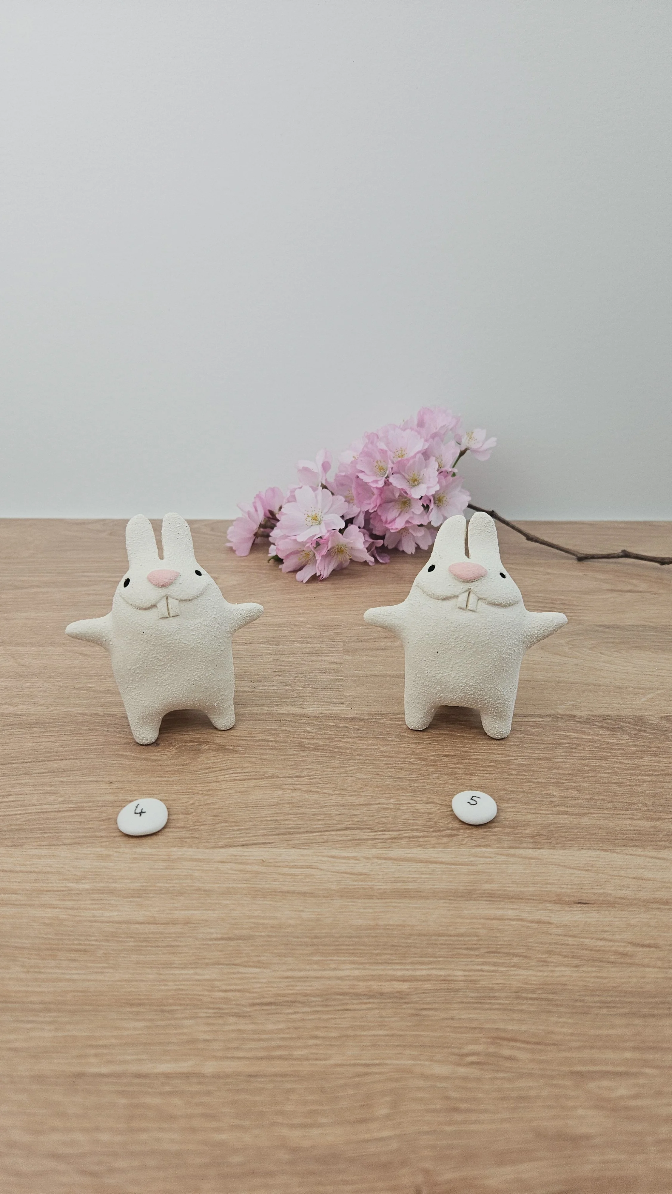 Mini Lapin20260318_141433.jpg