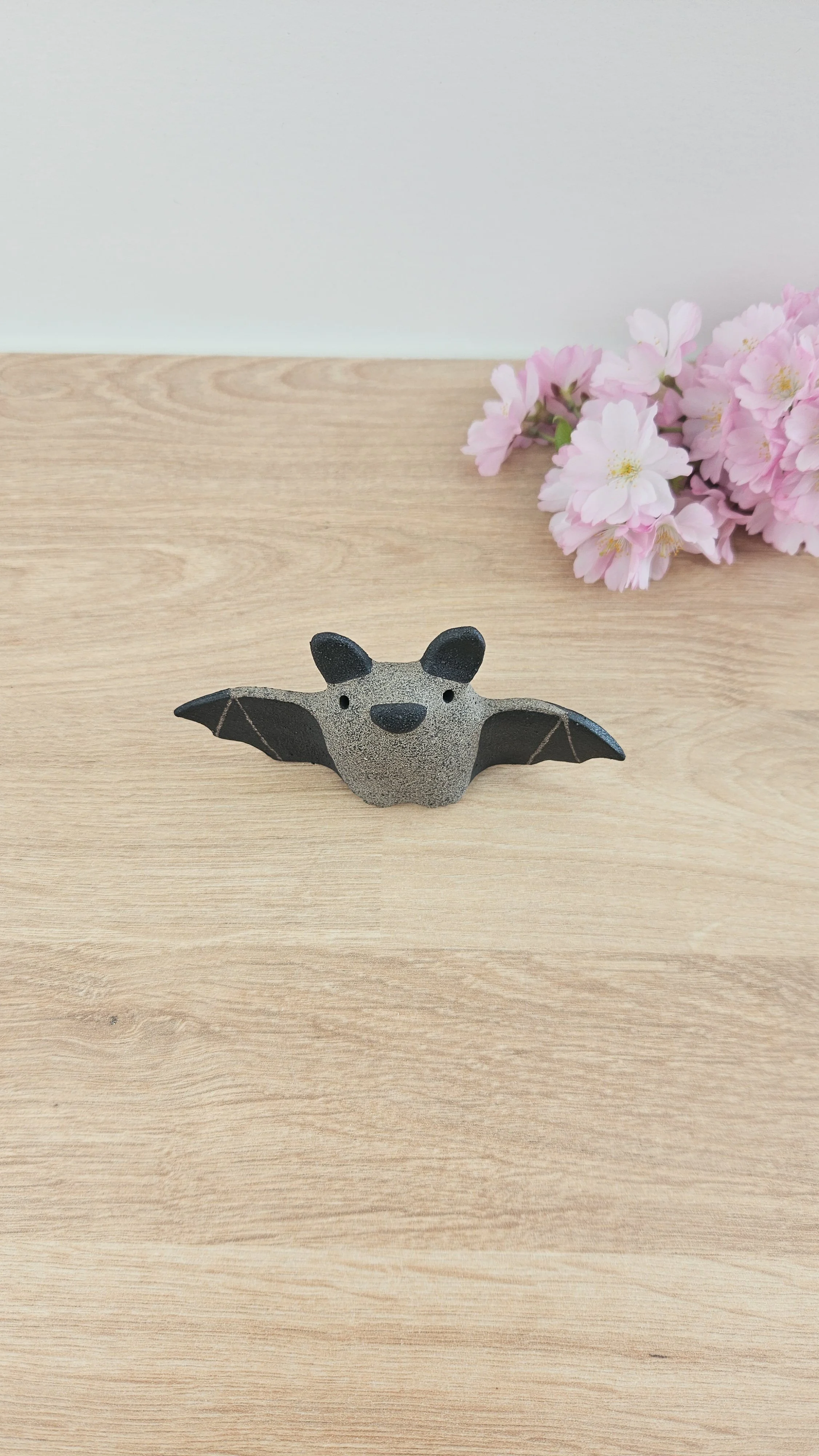 Chauve souris 20260319_115707.jpg