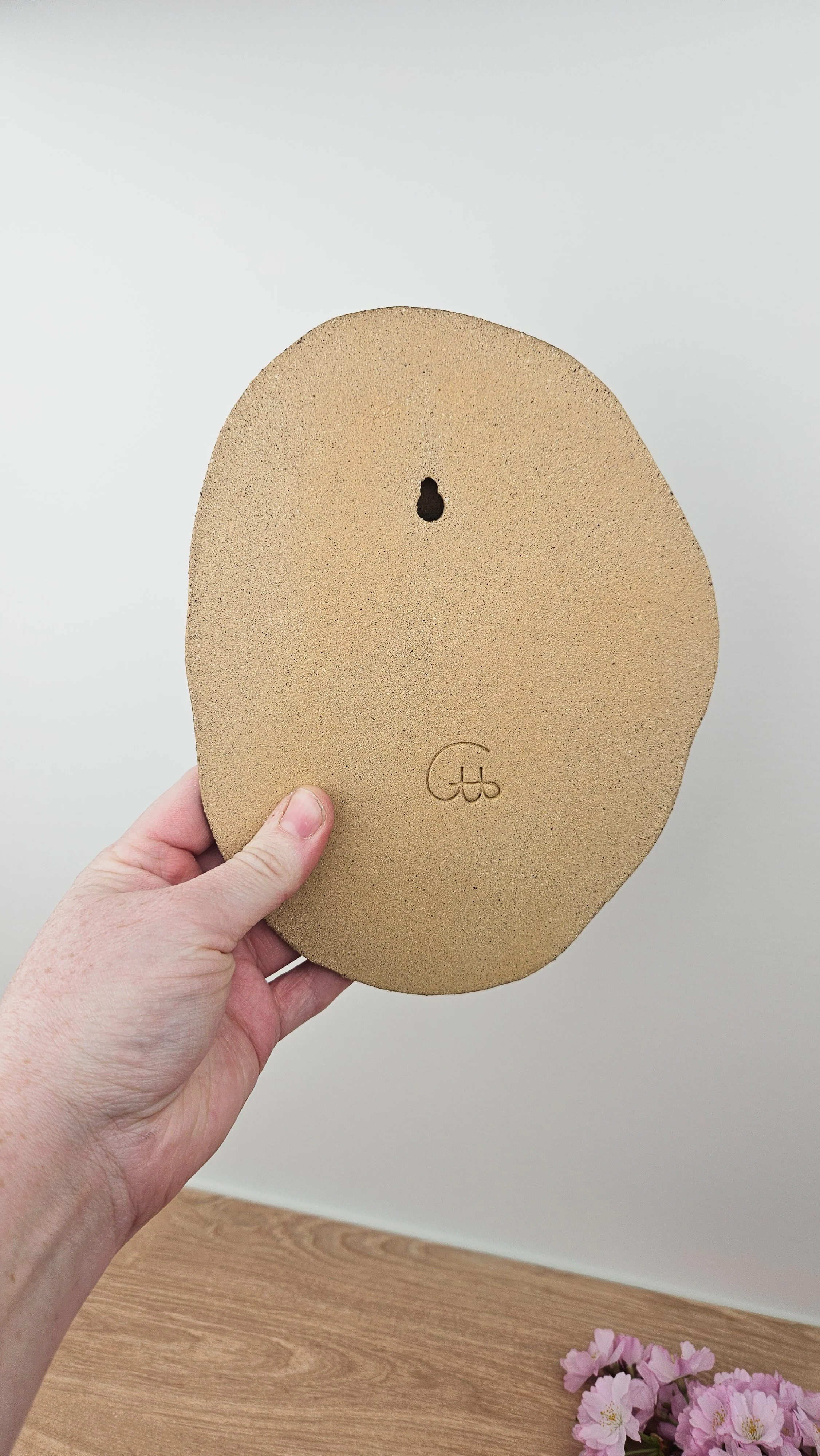 Colline Vache 6 Plaque poisson sercret 20260318_161337.jpg