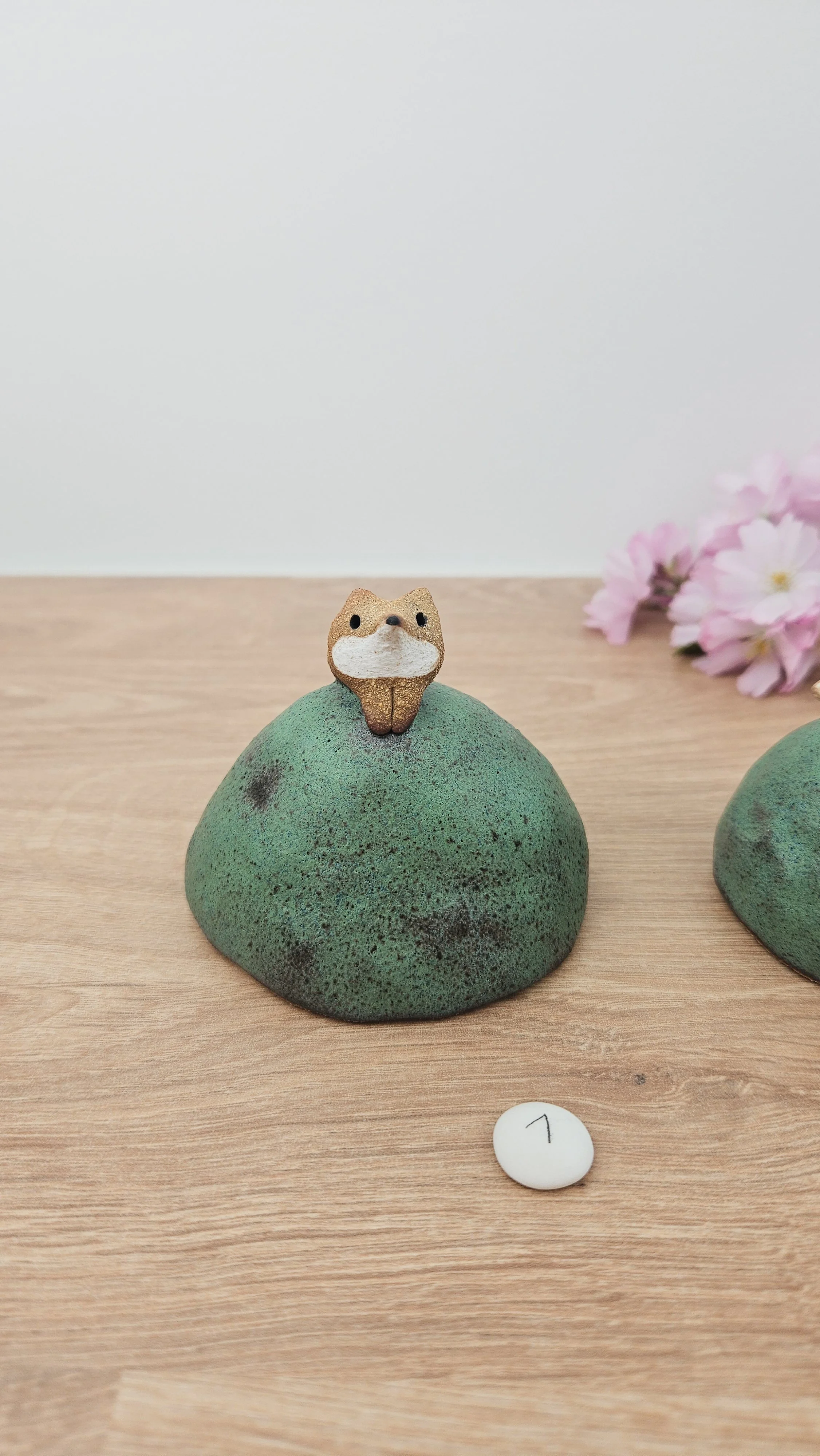 Mini colline renard20260318_142153.jpg