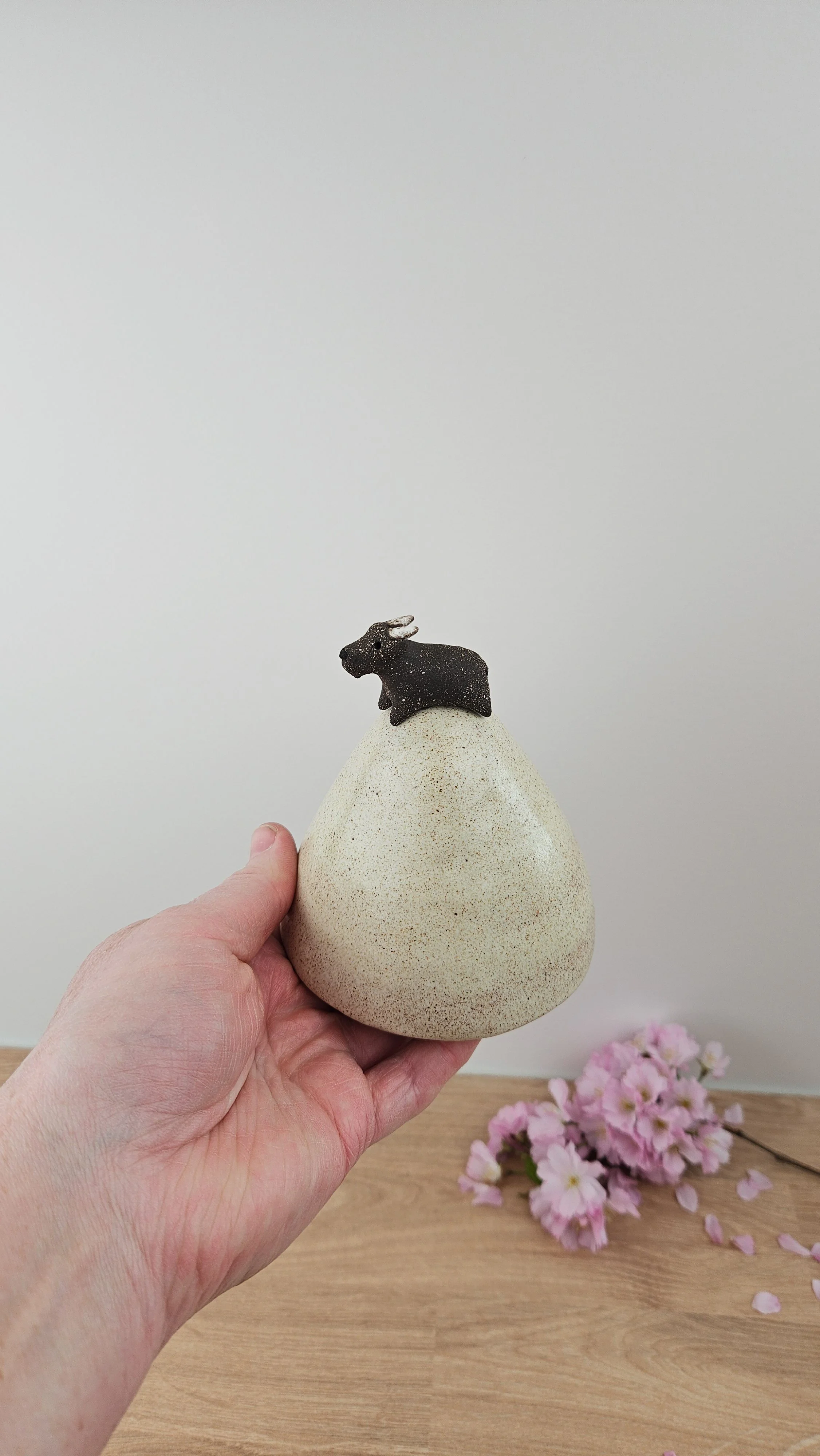 montagne biquette 220260319_142237.jpg