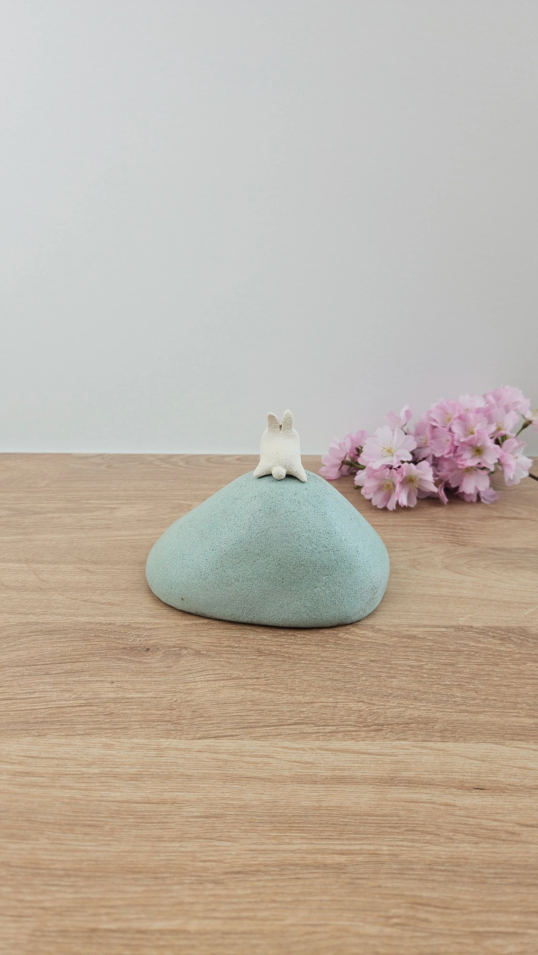 colline lapin 220260319_120934.jpg