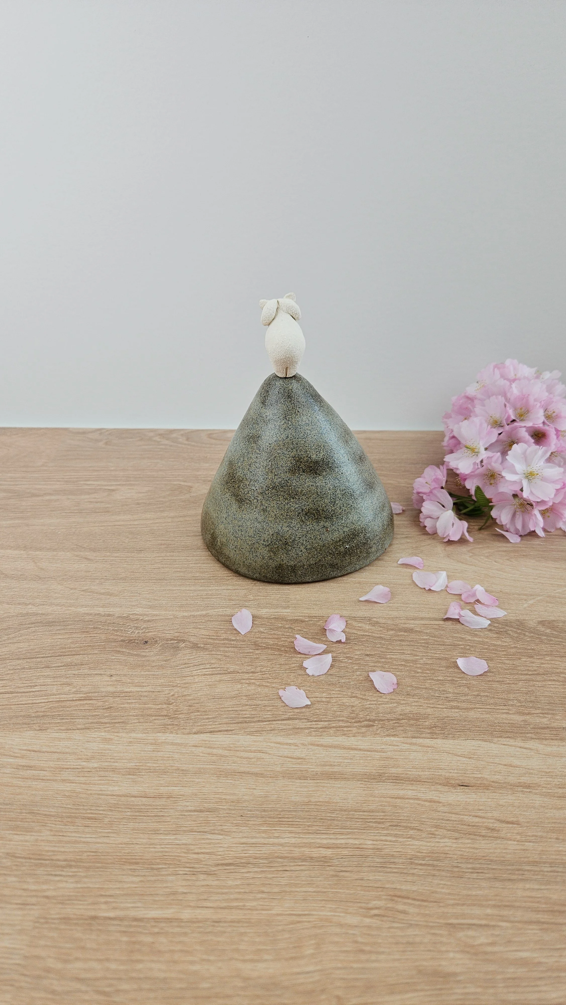 montagne Bouc 320260319_123932.jpg