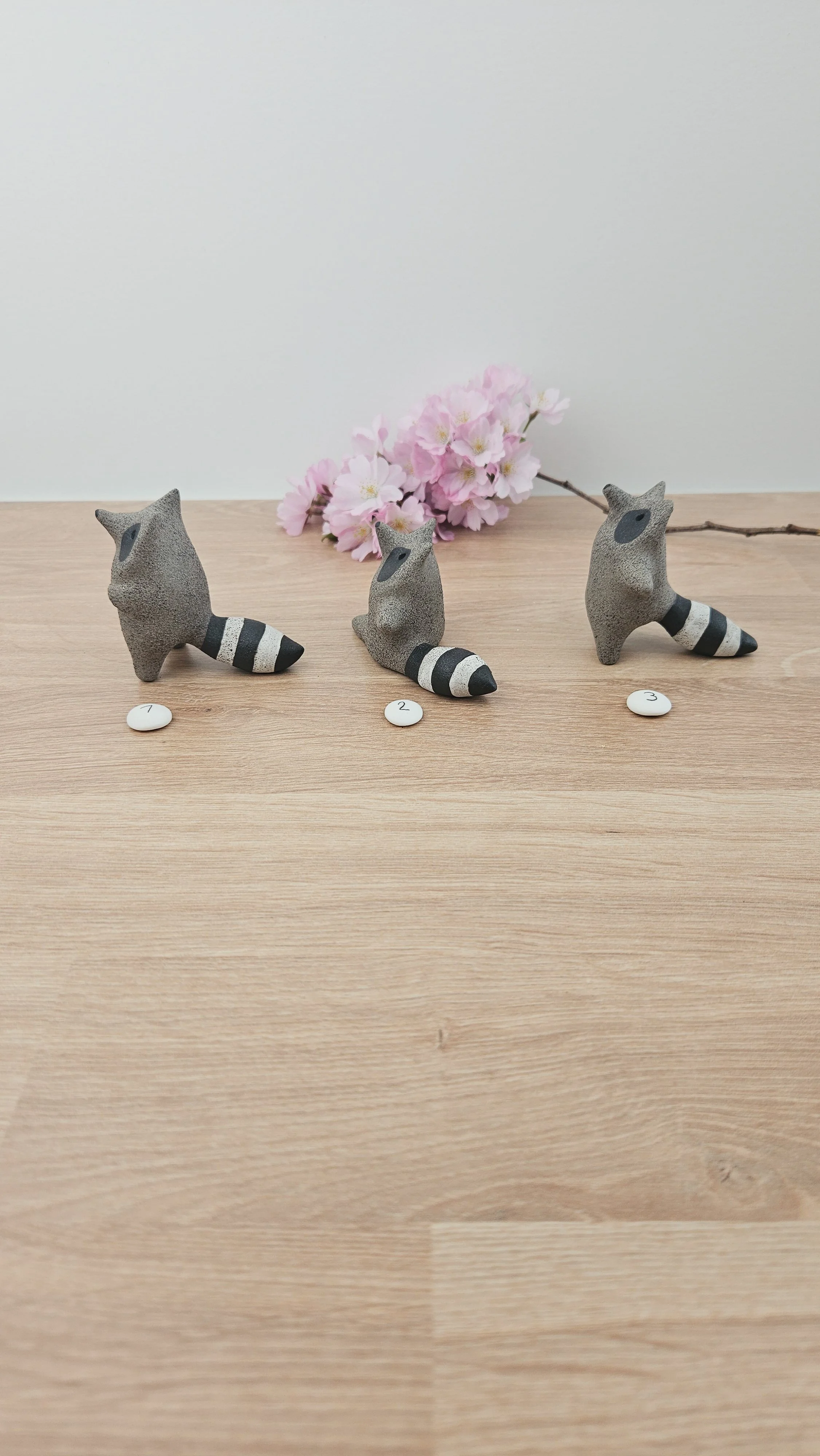 Mini Raton 20260318_135859.jpg