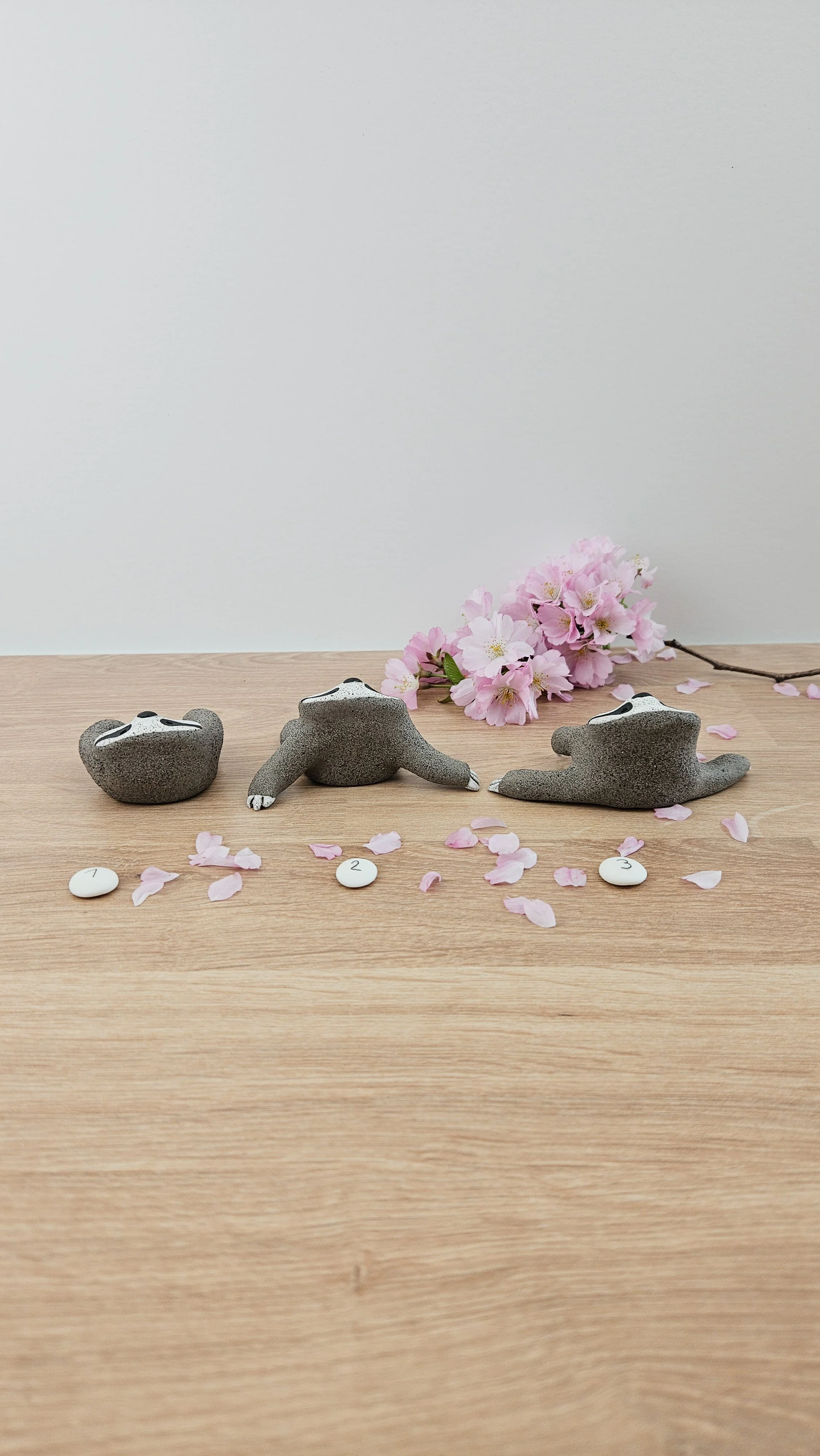 Mini paresseux20260319_141015.jpg