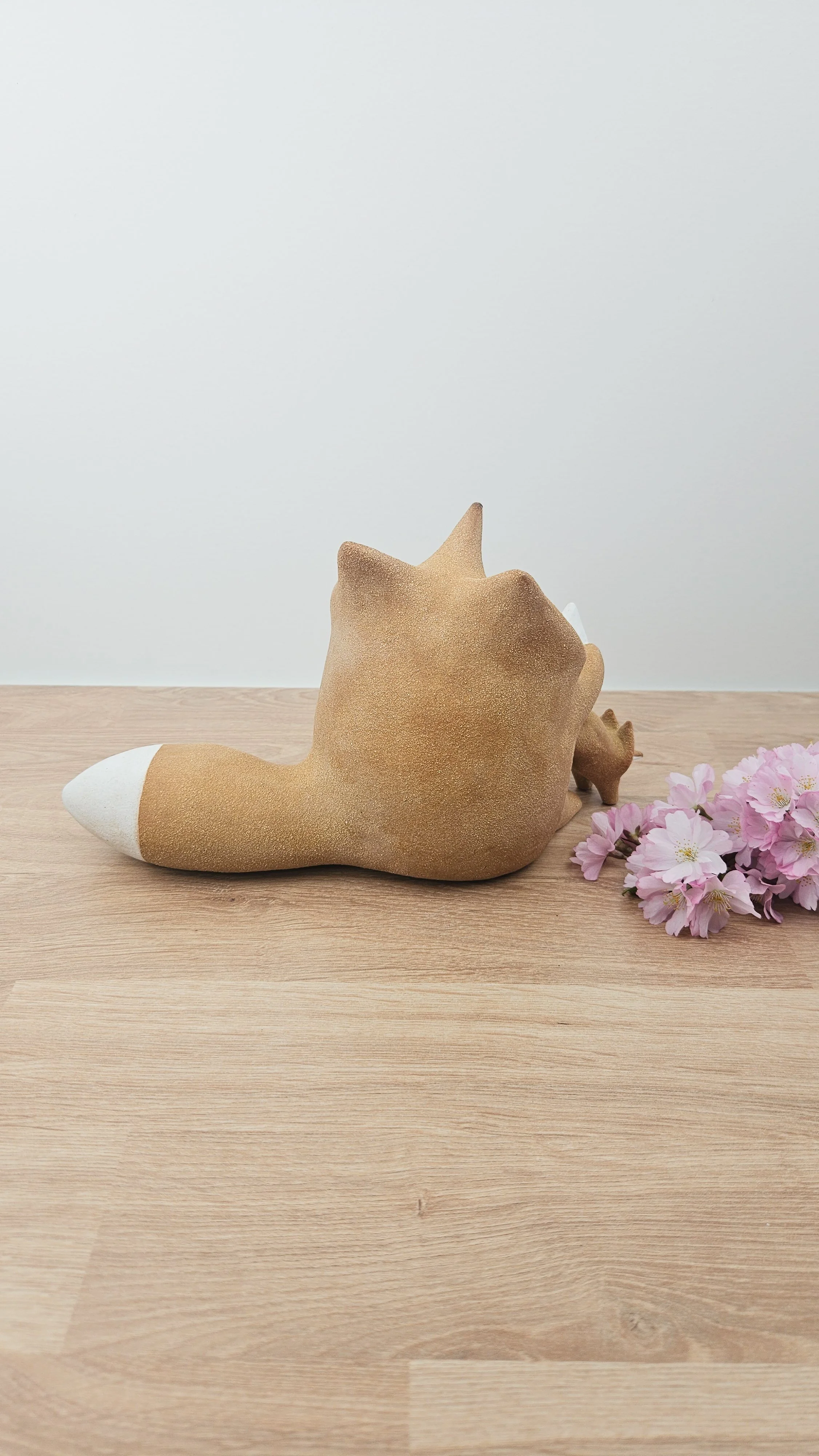 Maman Renard 20260318_144034.jpg