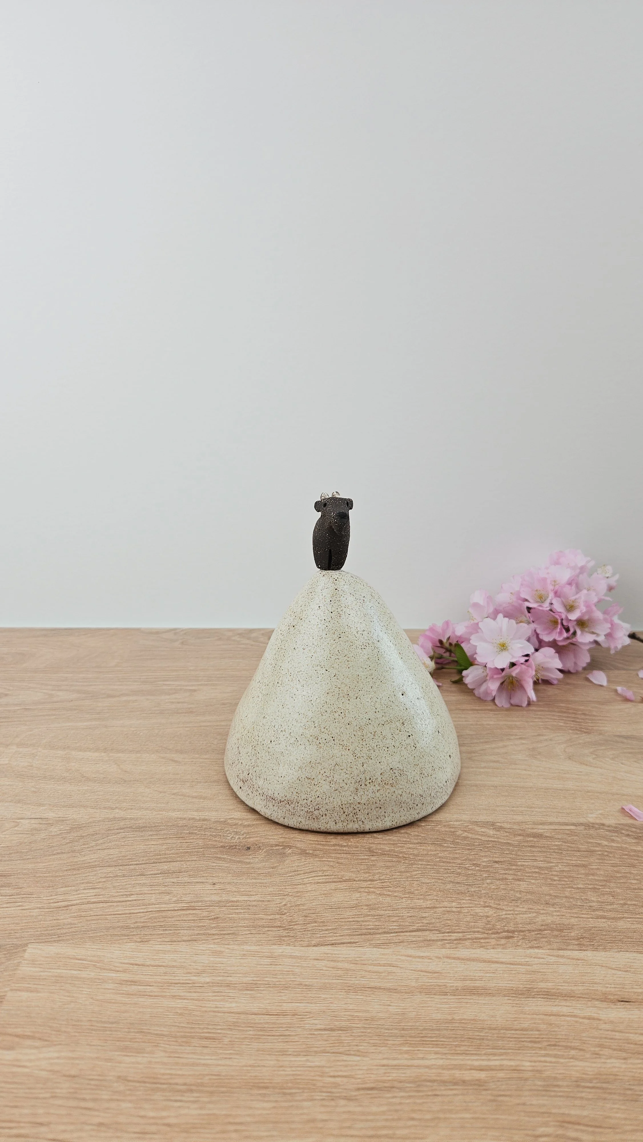 montagne biquette 120260319_142012.jpg