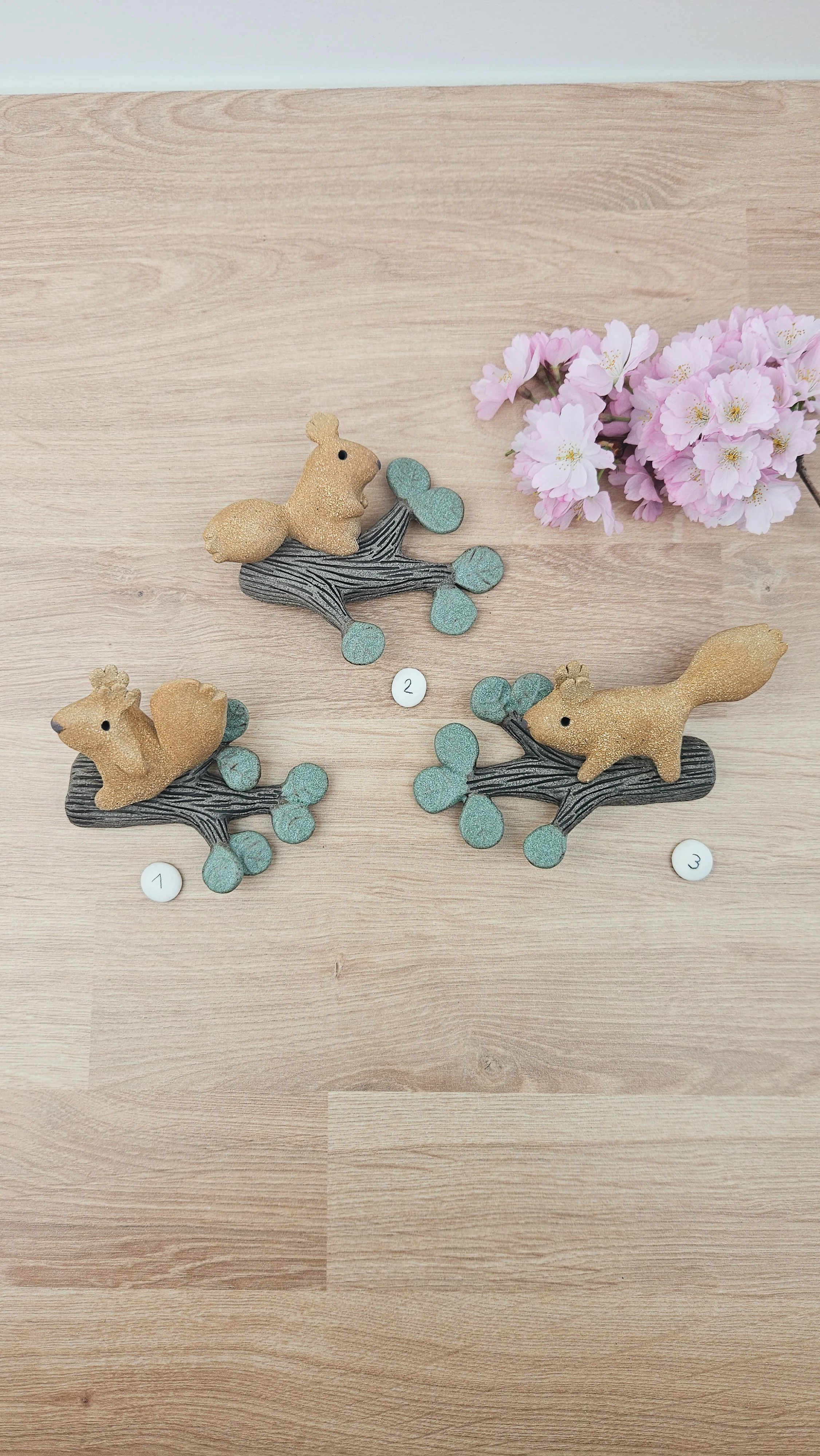 Branche Ecureuil 20260318_143757.jpg