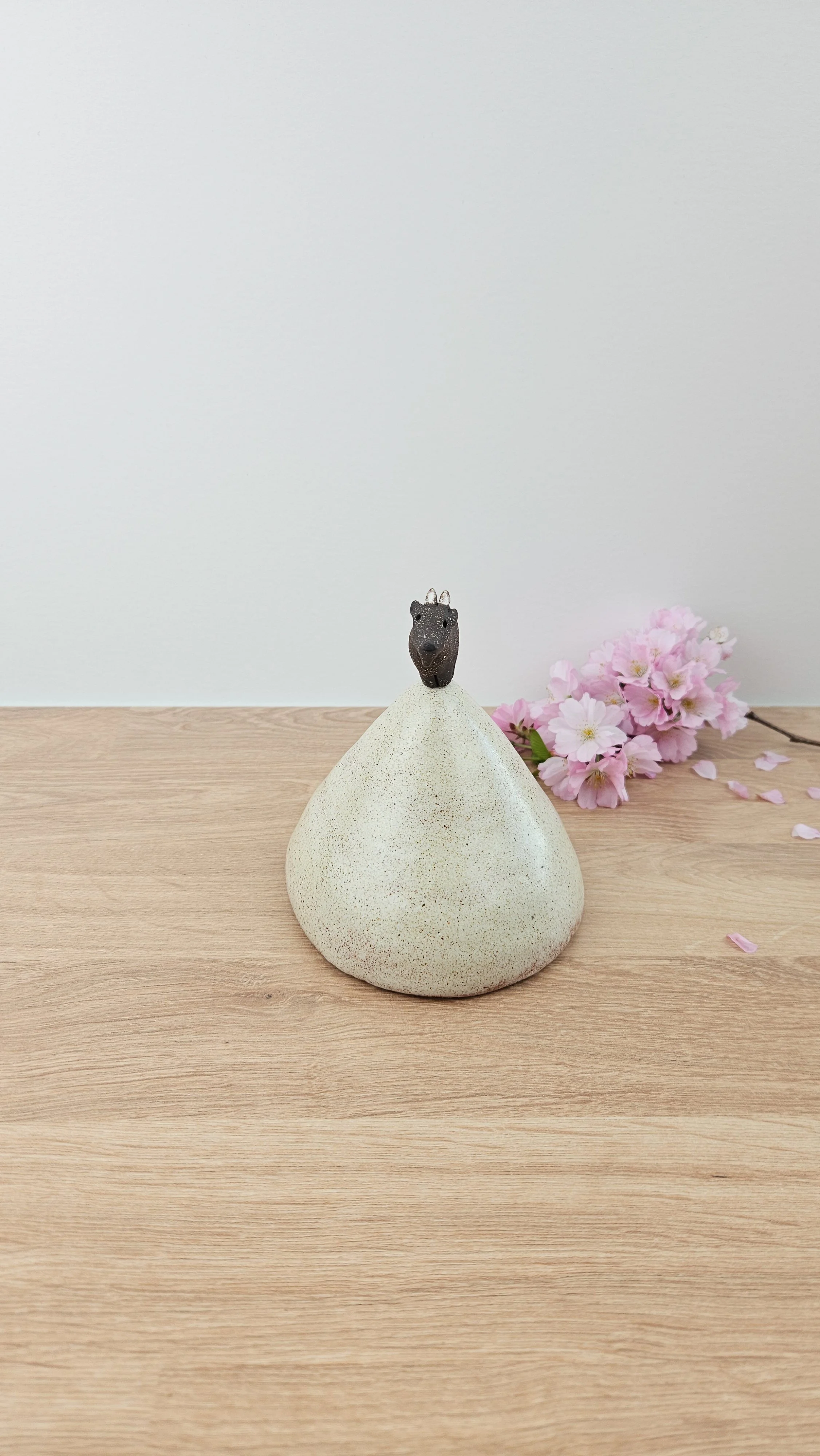 montagne biquette 320260319_142338.jpg