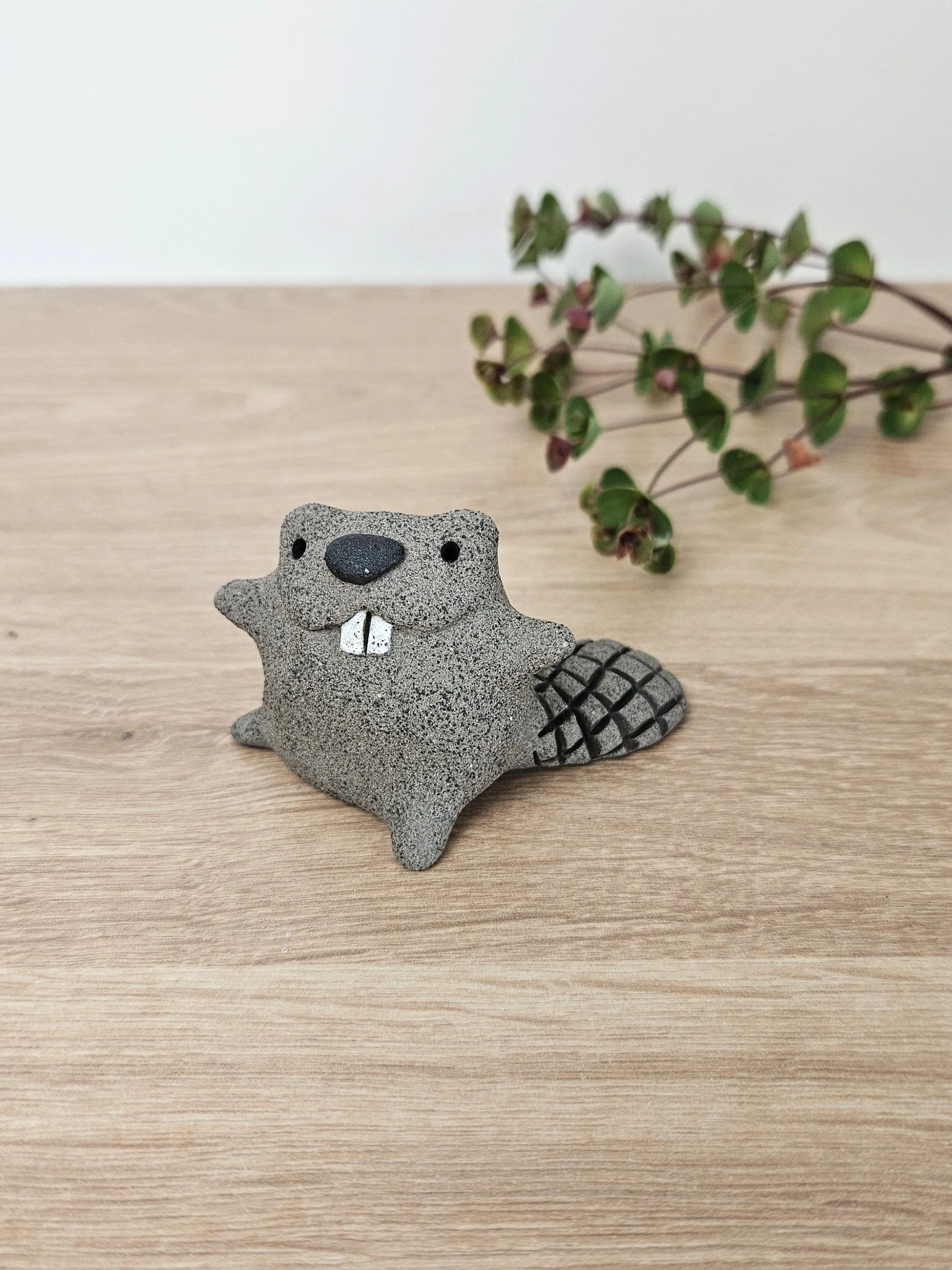 mini castor (1).jpg