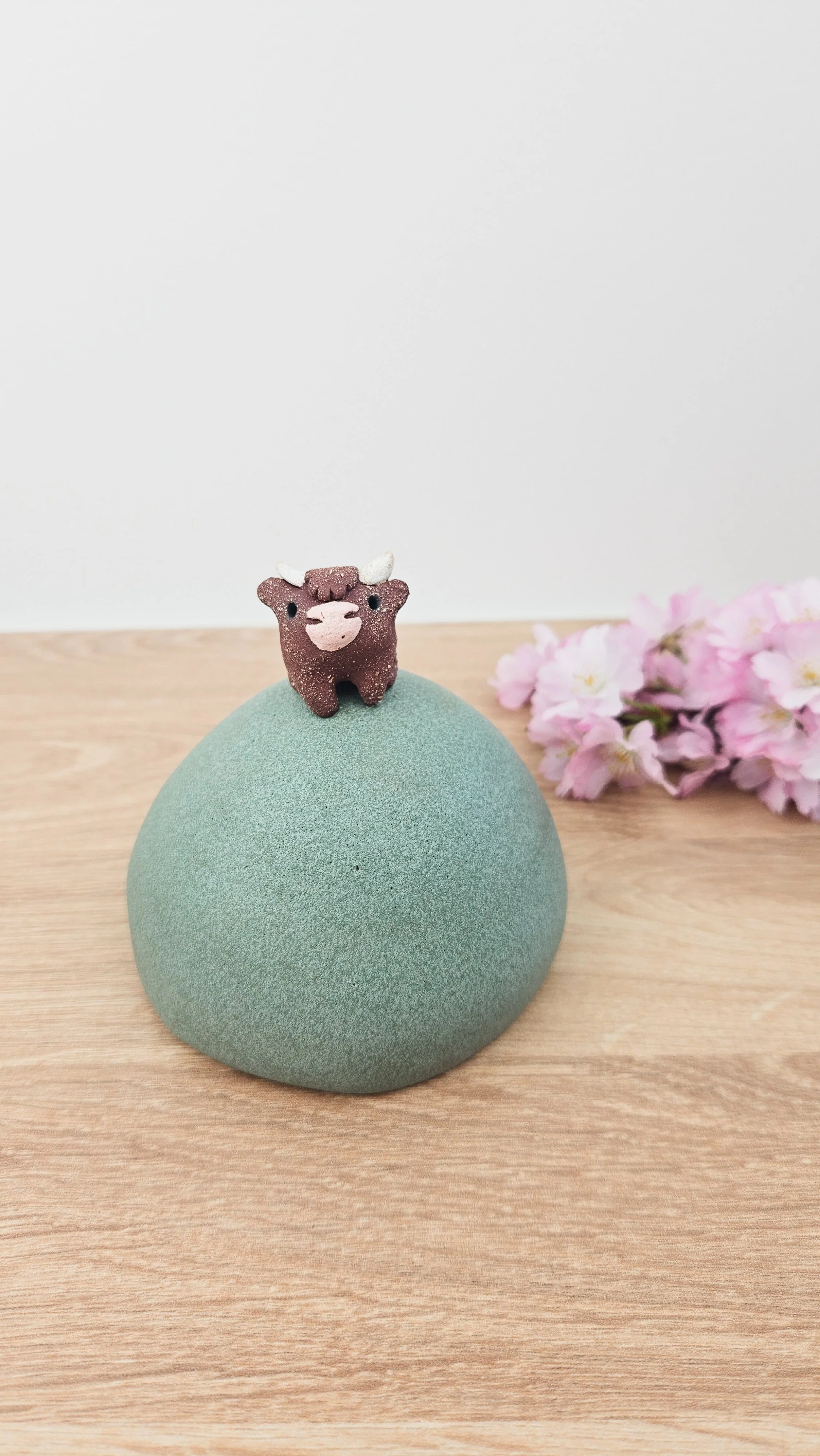 Colline Vache 6 20260318_161607.jpg