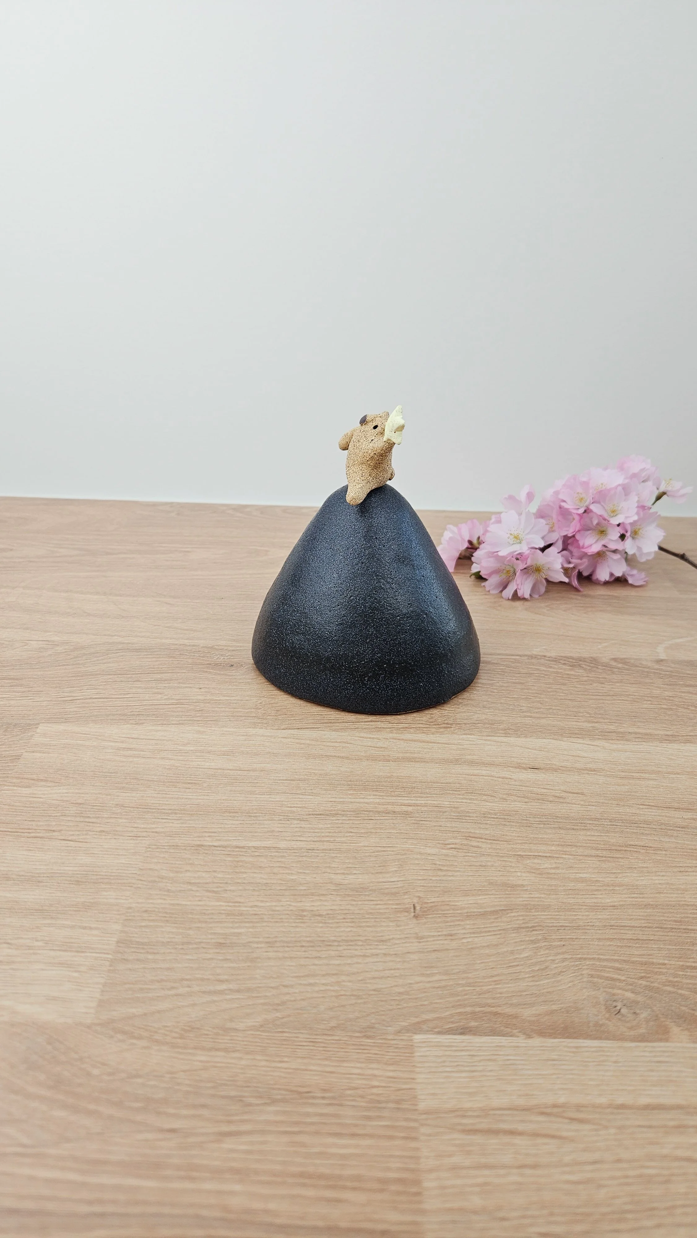 Danseur étoile 2 20260318_145304.jpg