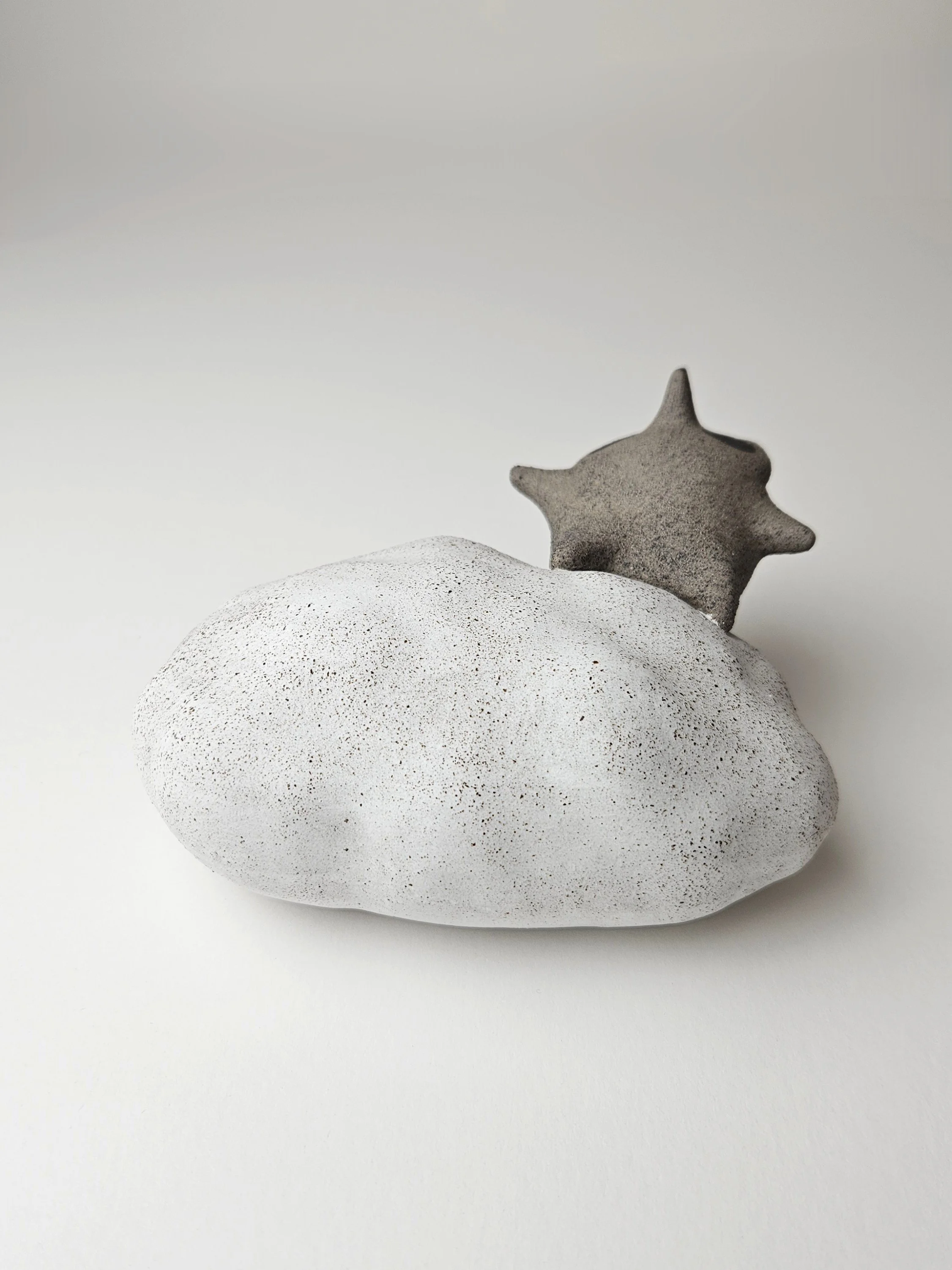 raton nuage 5 (2).jpg