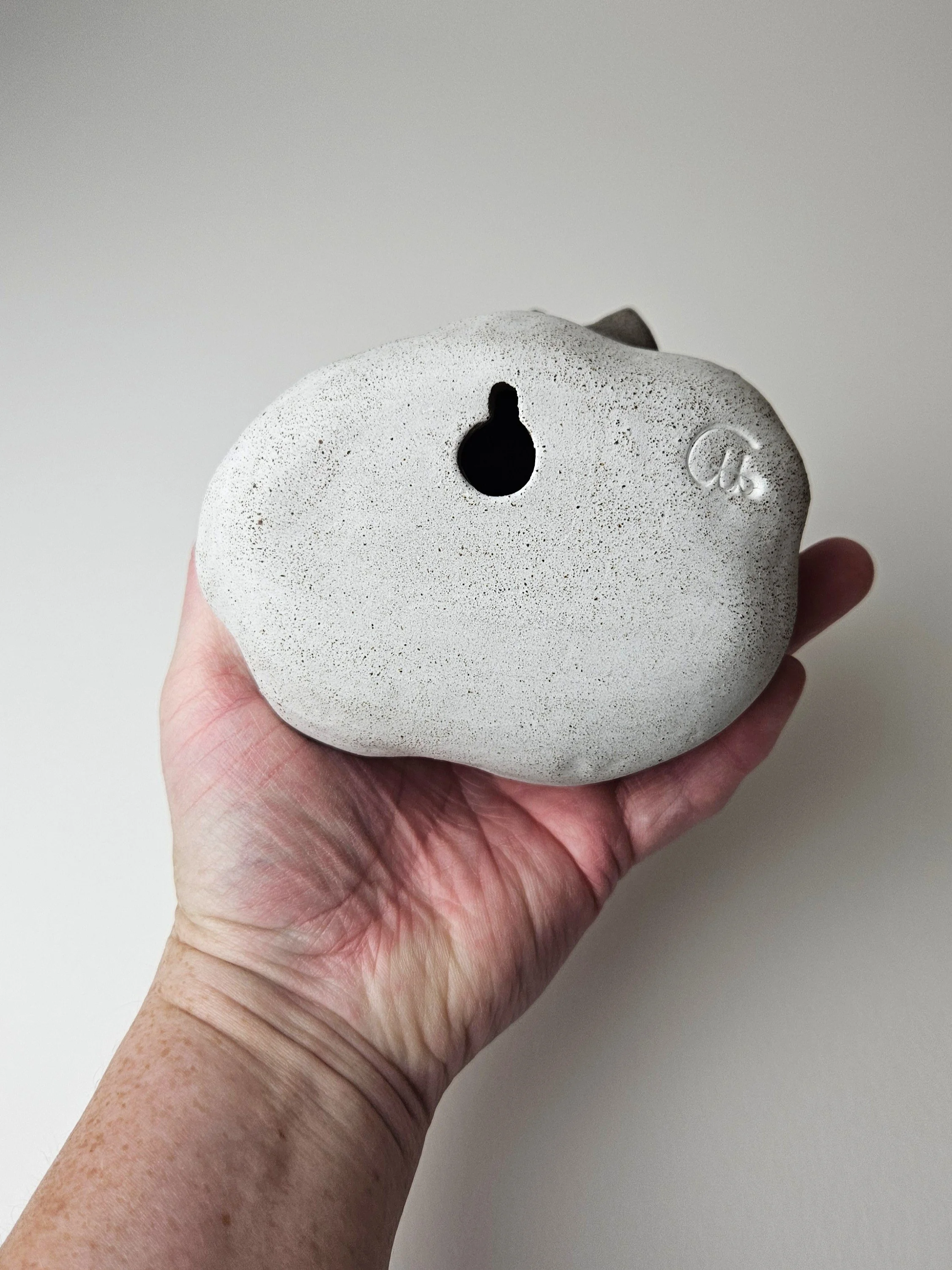 raton nuage 3 (3).jpg