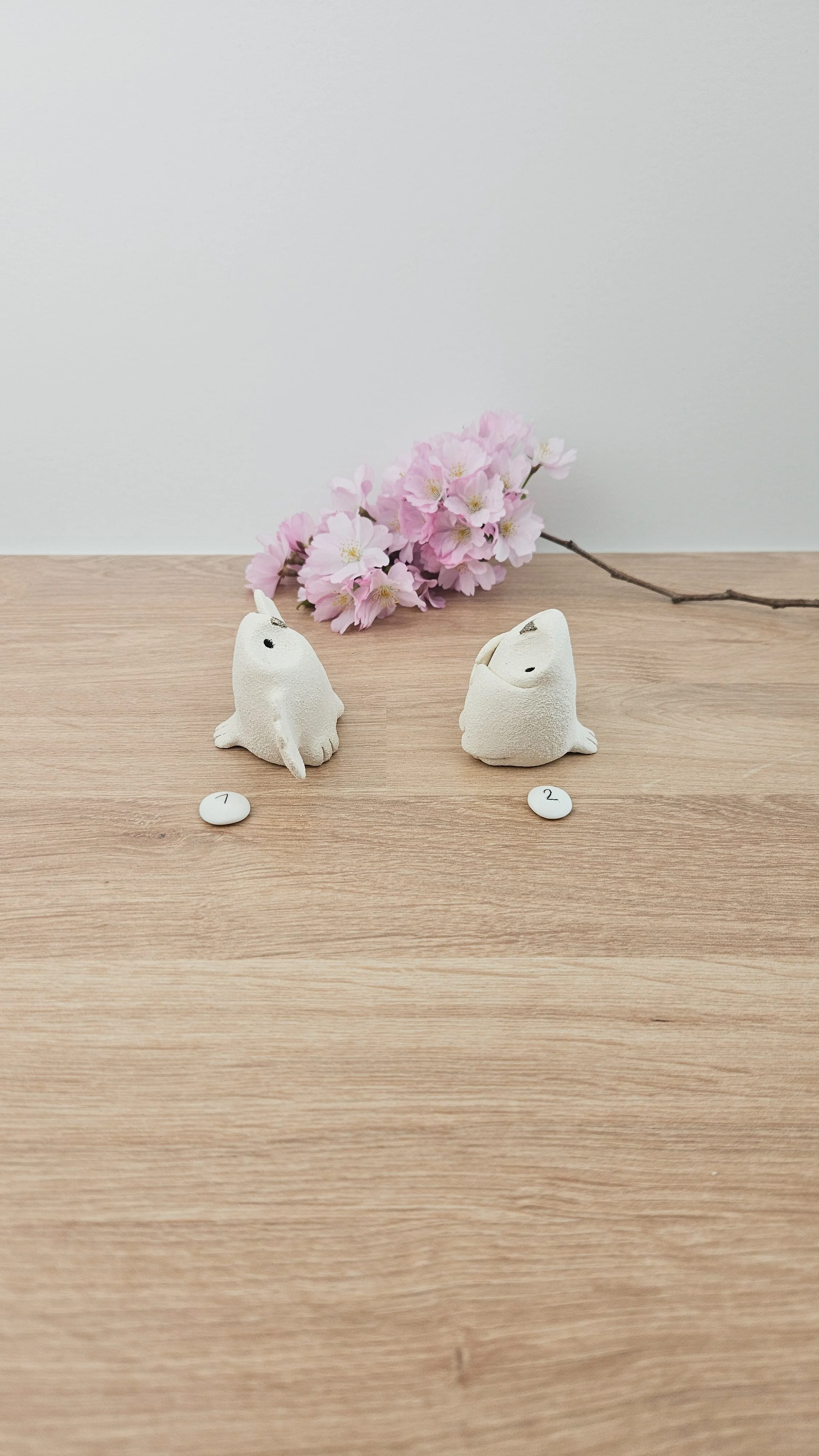 Mini Chouette20260318_133638.jpg