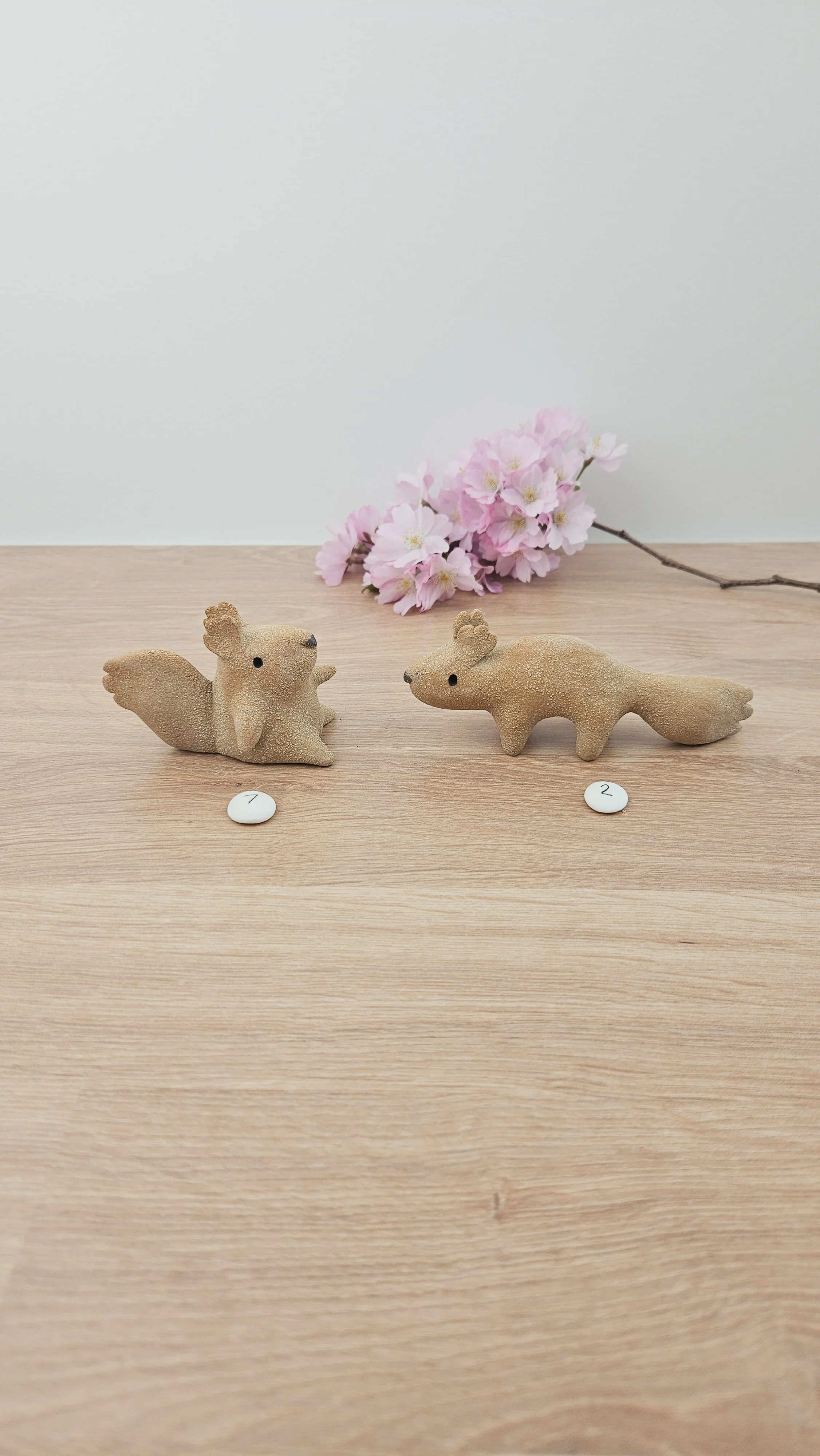 Mini Ecureuil 20260318_140042.jpg