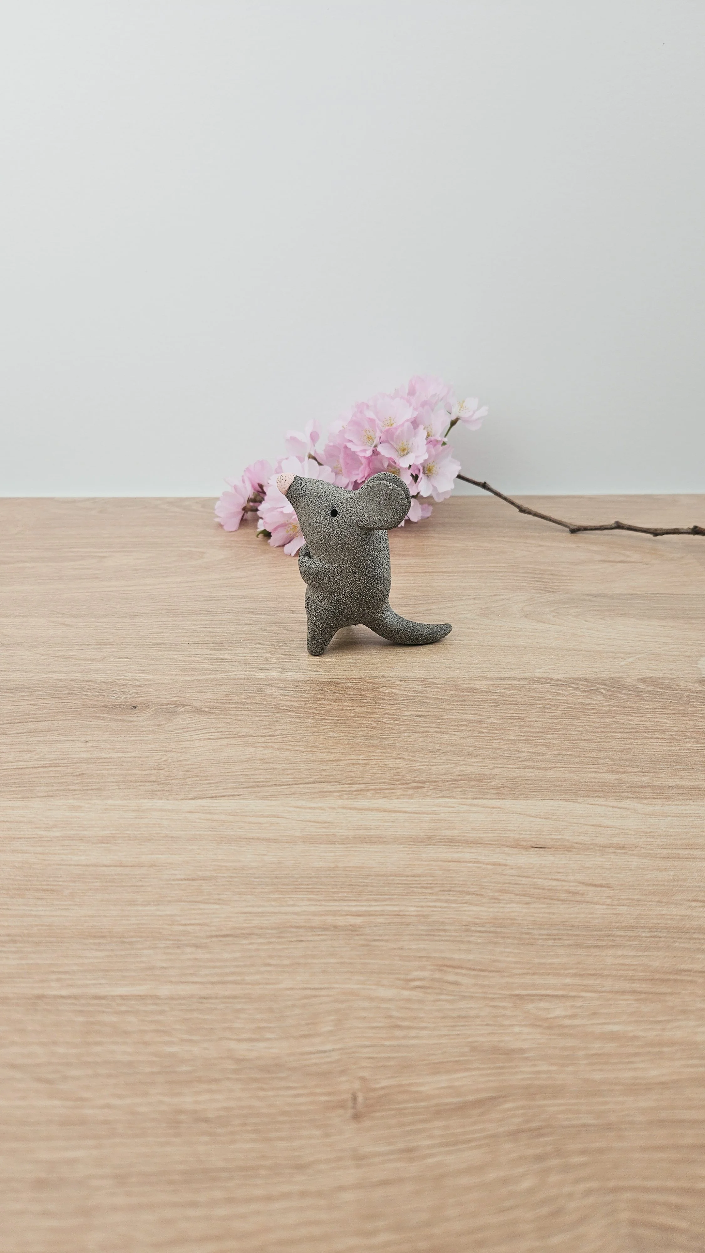 Mini Rat 20260318_133808.jpg