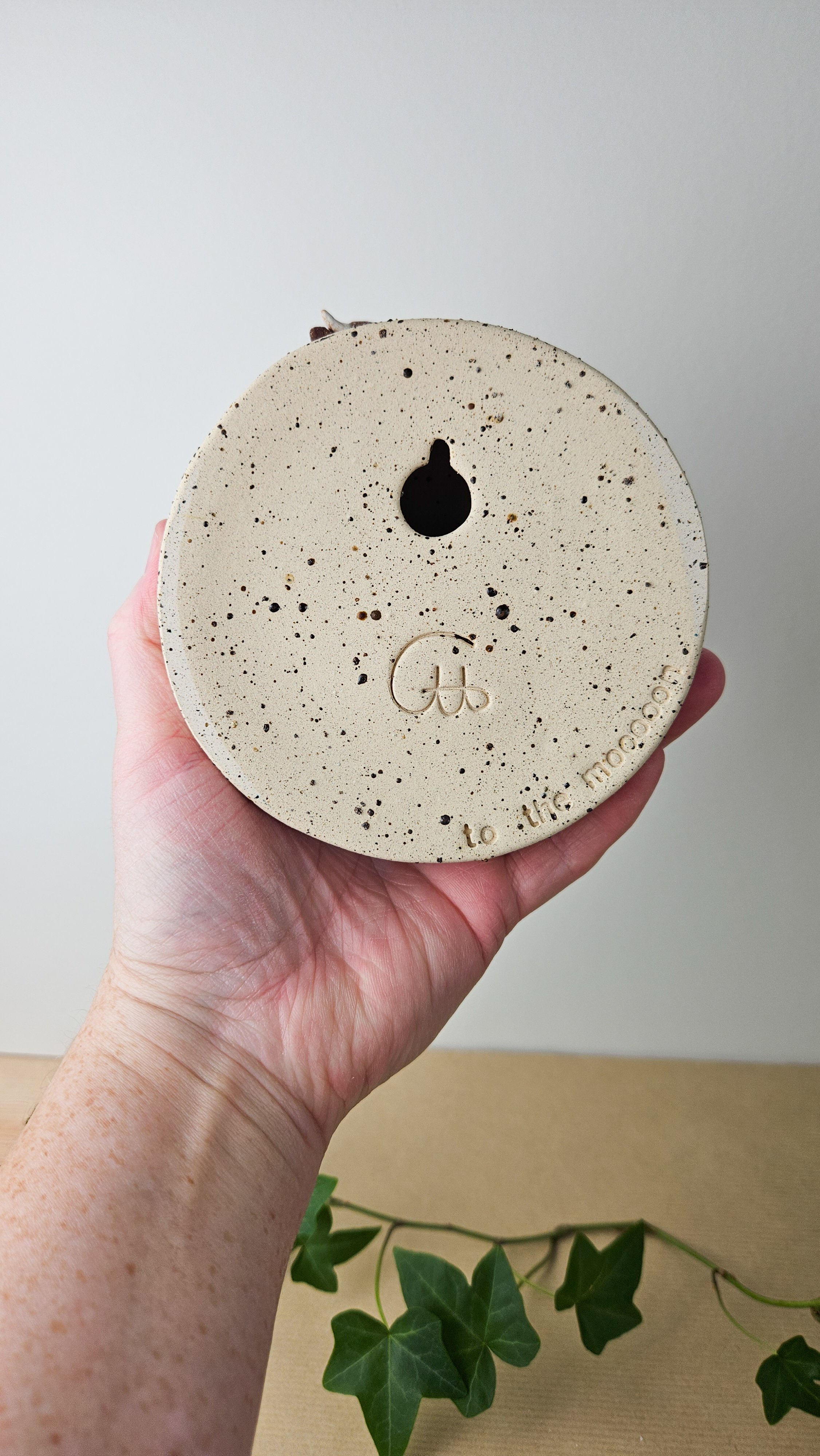 Moon n1-1.jpg