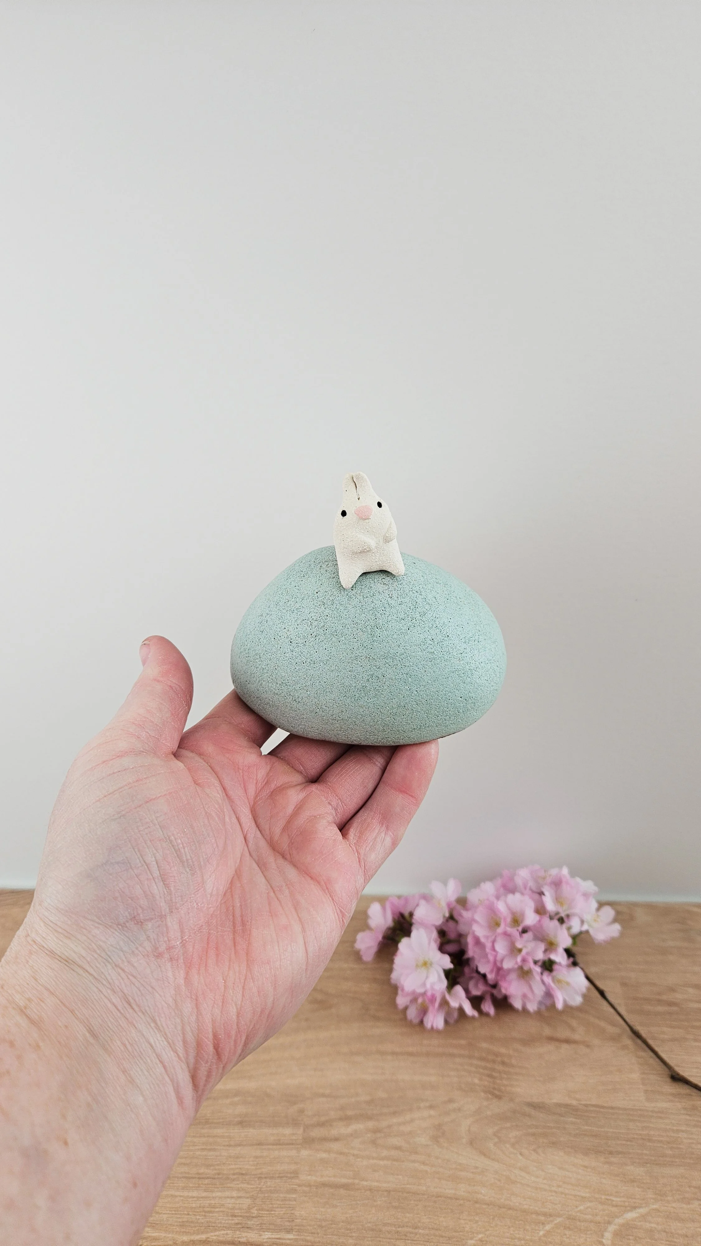 colline lapin 320260319_122255.jpg