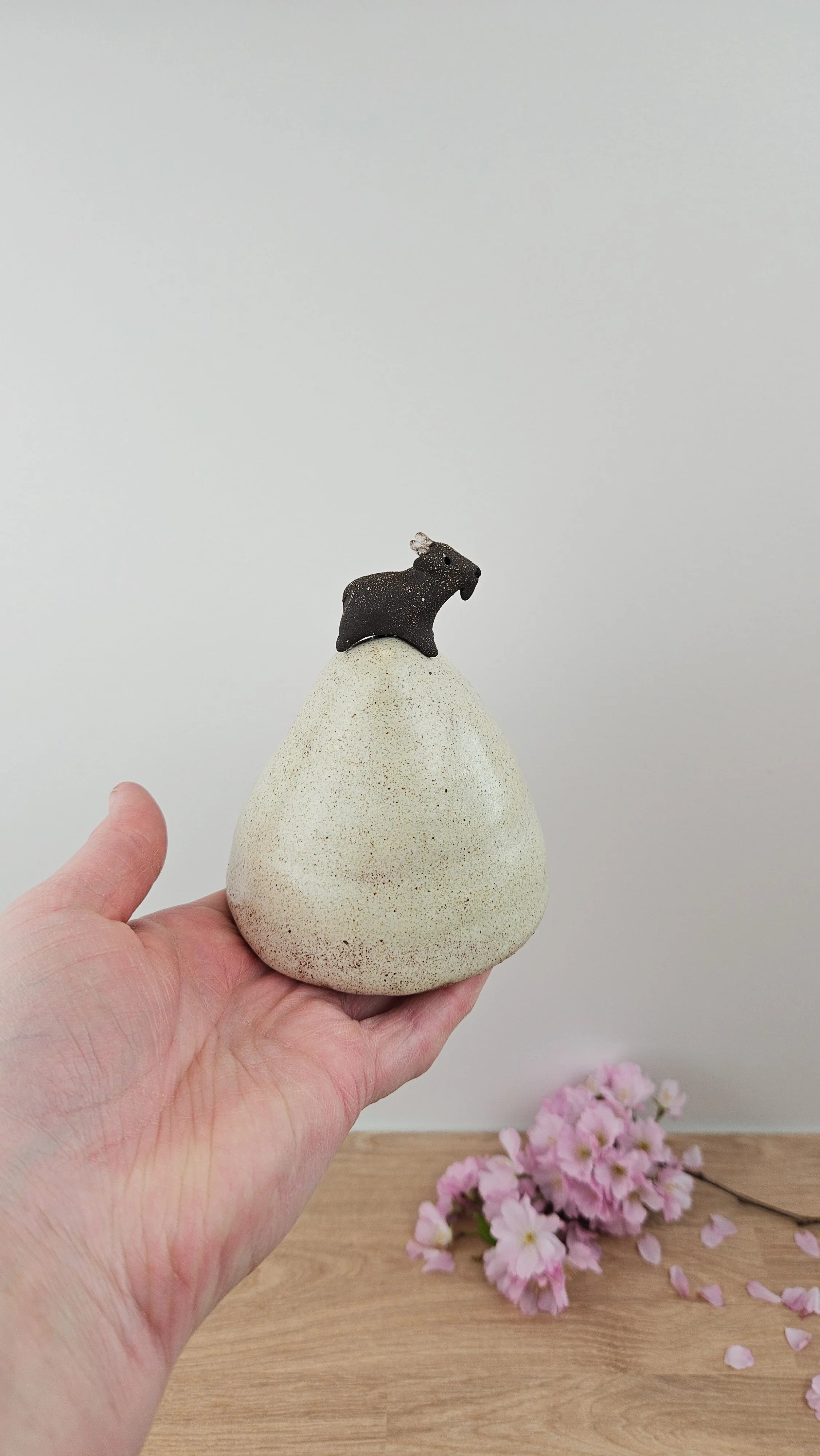 montagne biquette 420260319_142515.jpg