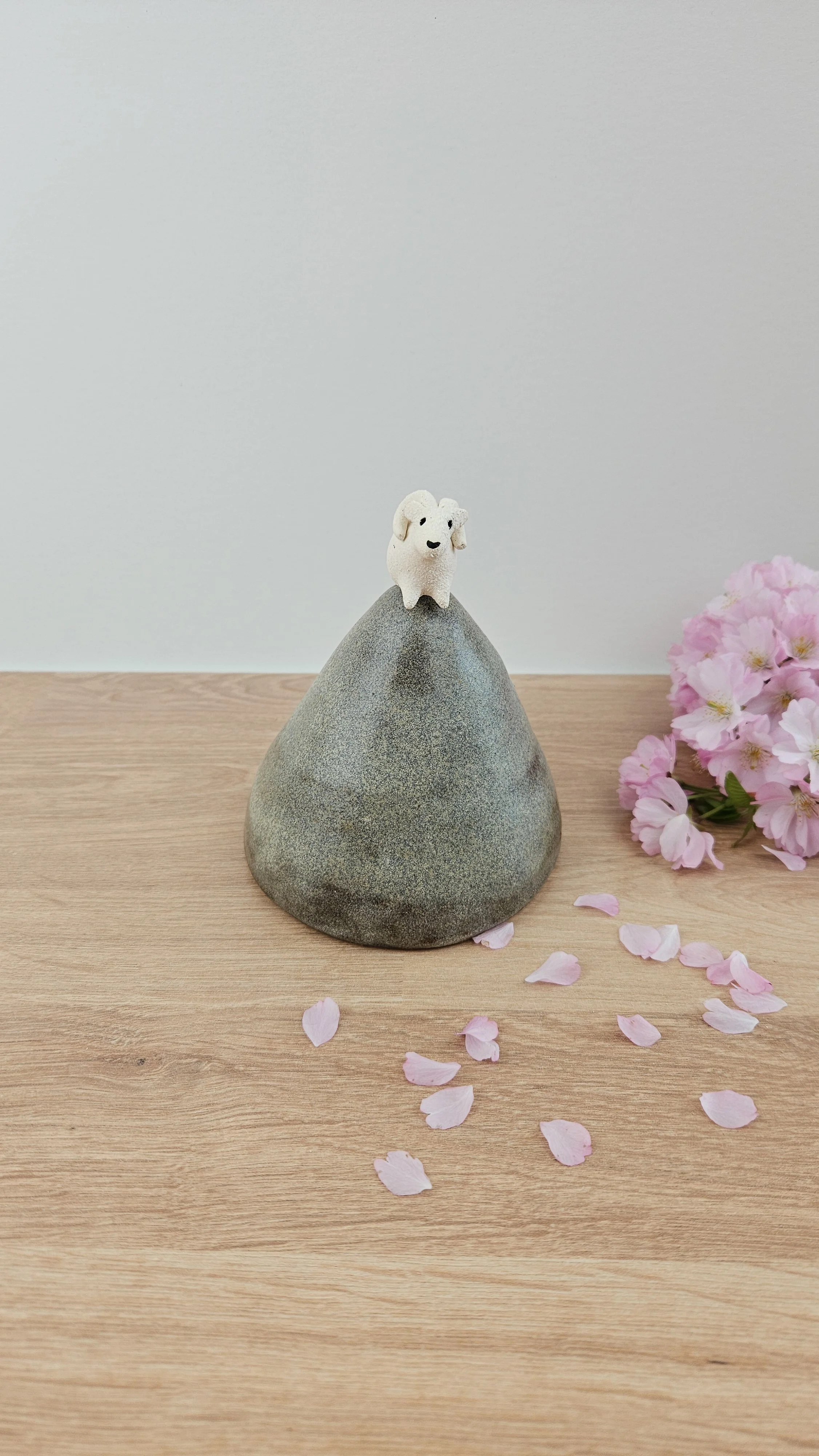 montagne Bouc 120260319_123732.jpg