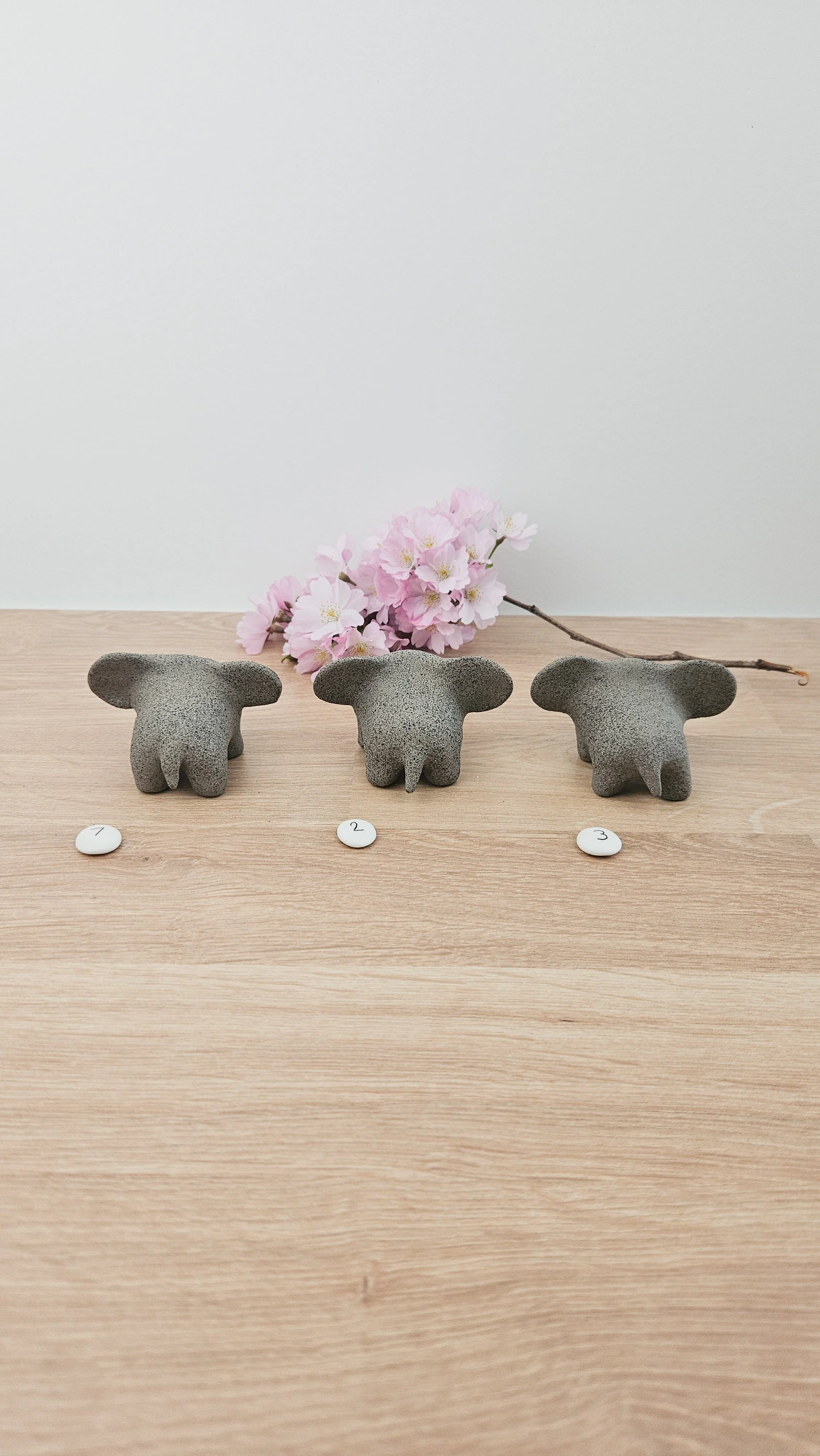 Mini Elephant 20260318_134820.jpg