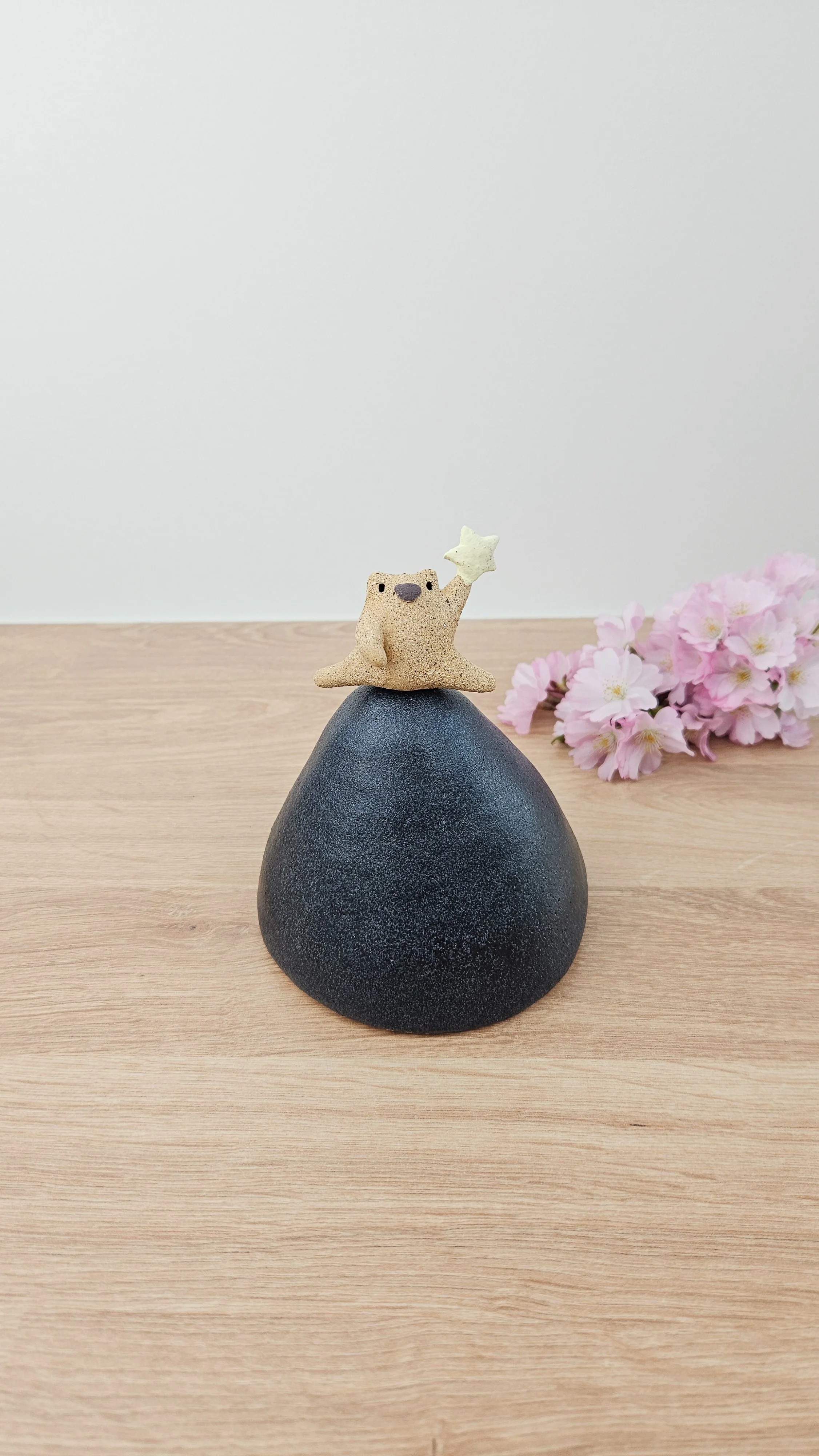 Danseur étoile 2 20260318_145250.jpg