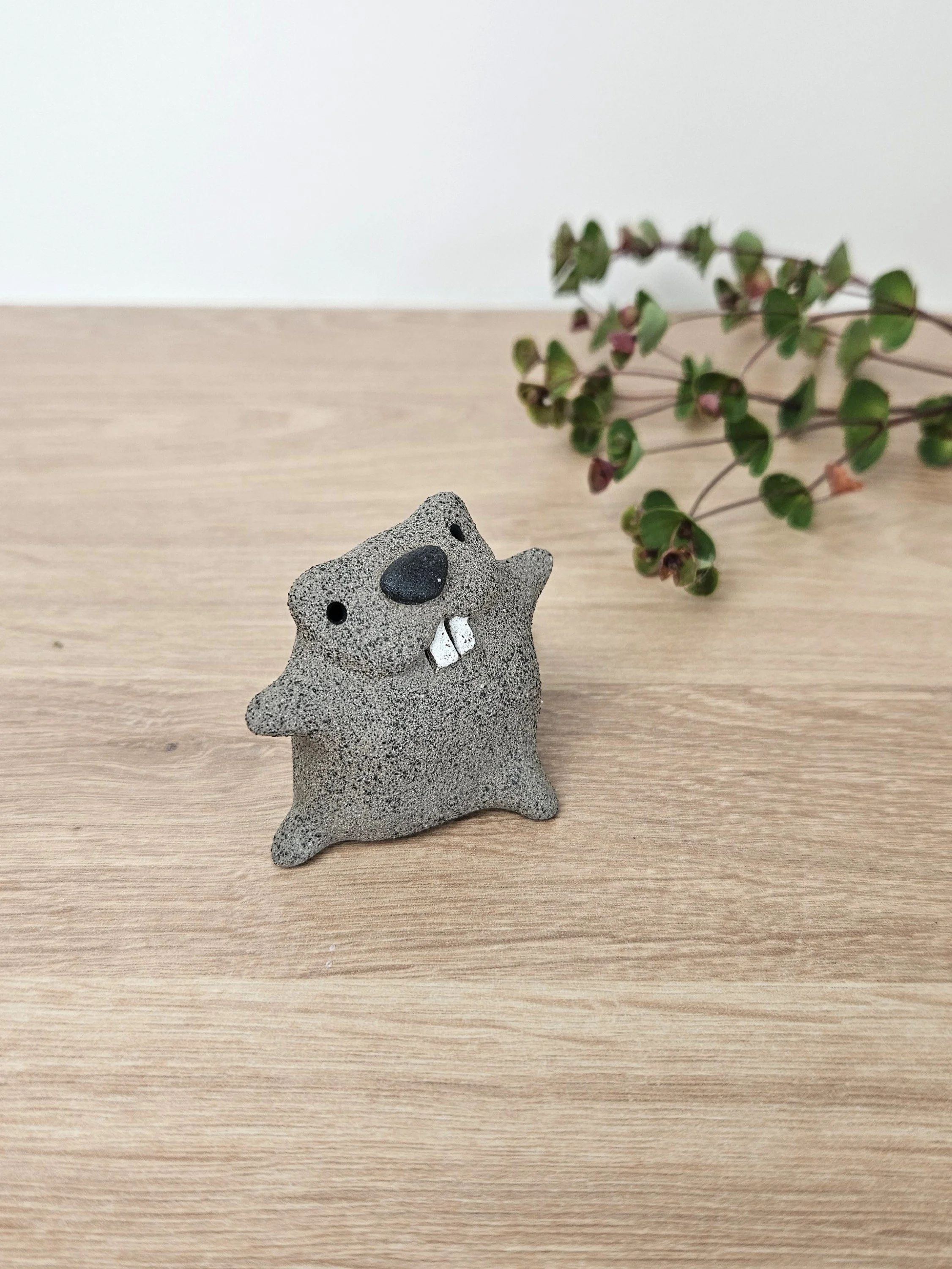 mini castor (2).jpg