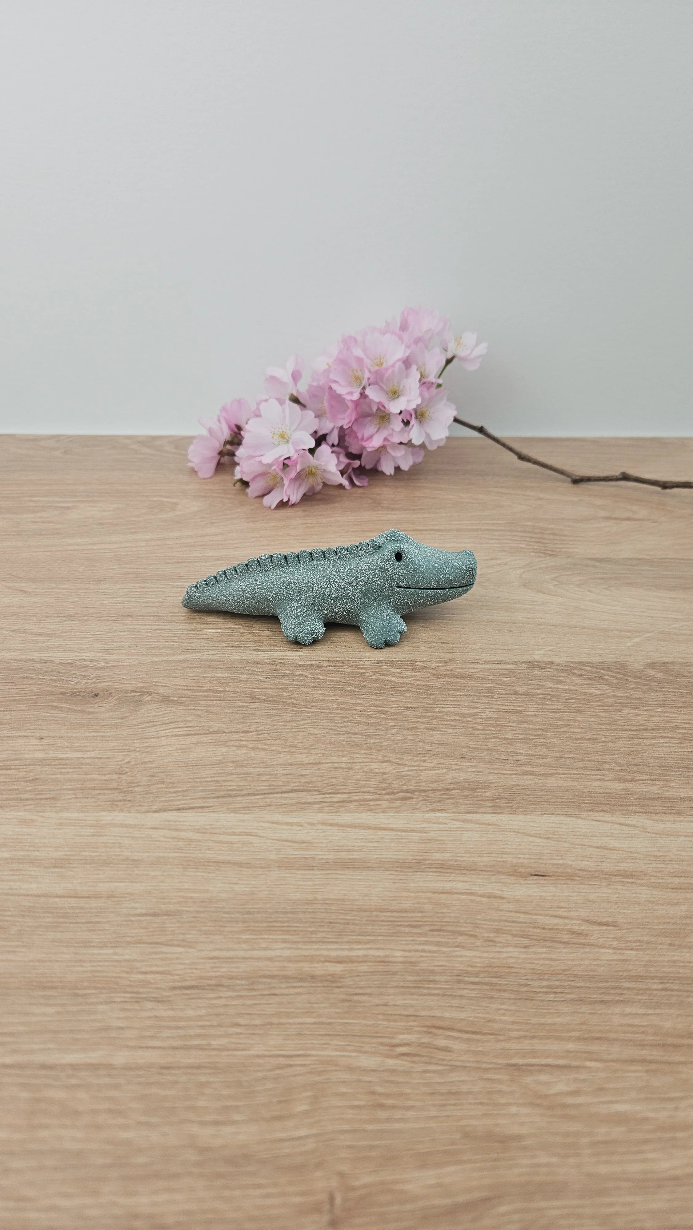 Mini Croco 20260318_133917.jpg