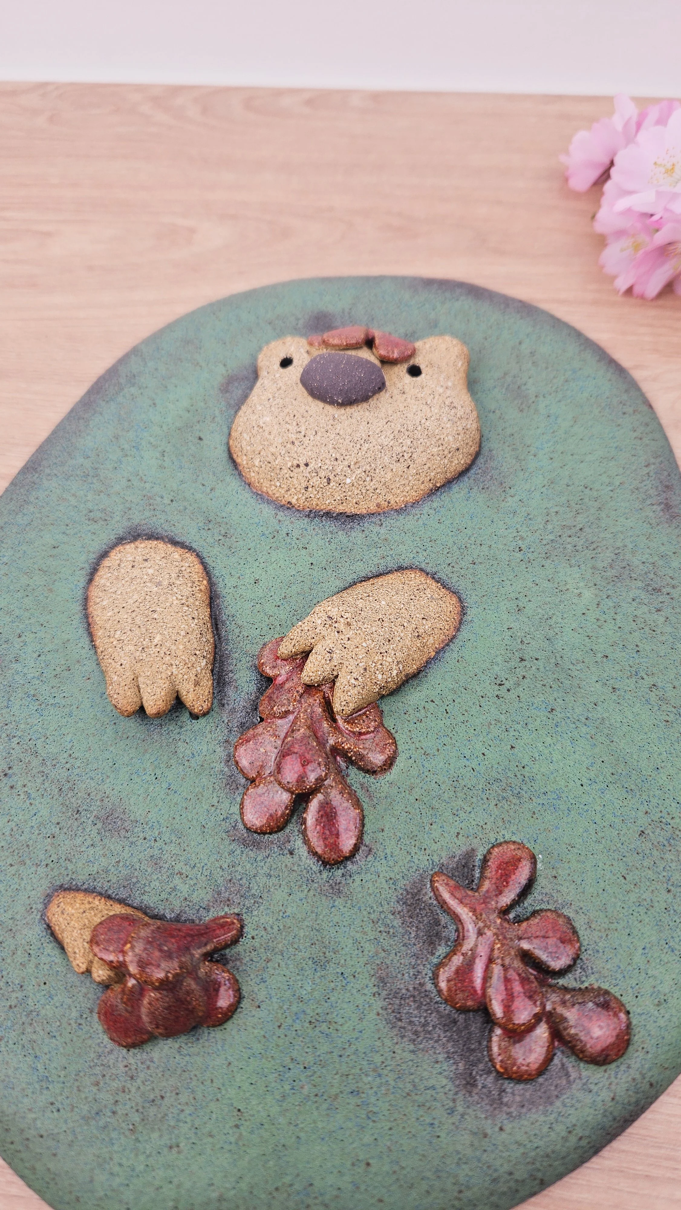 Plaque d'algues 20260318_160055.jpg