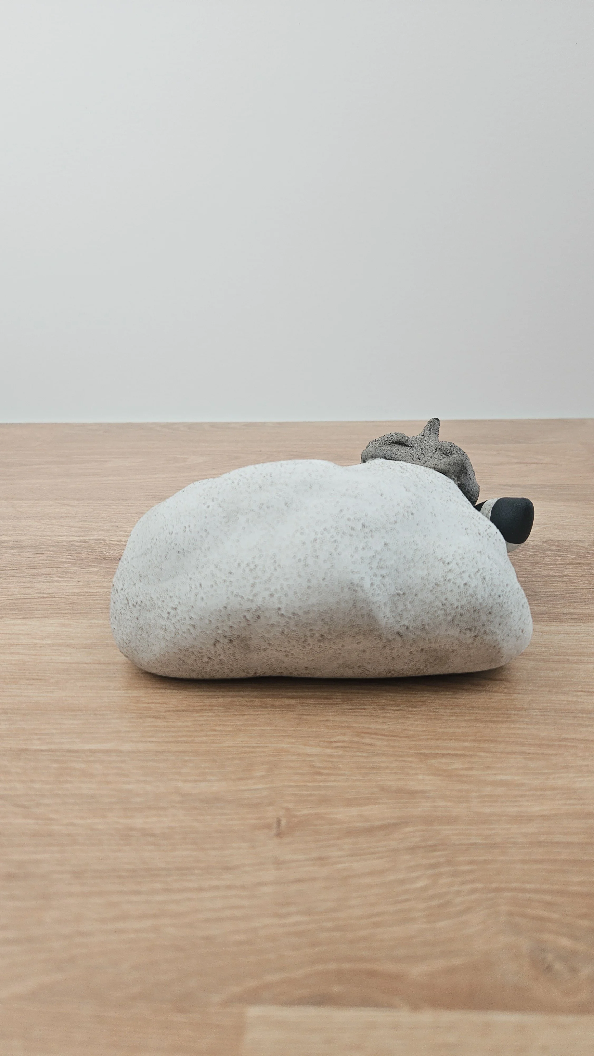 Raton Nuage 2 20260318_143424.jpg