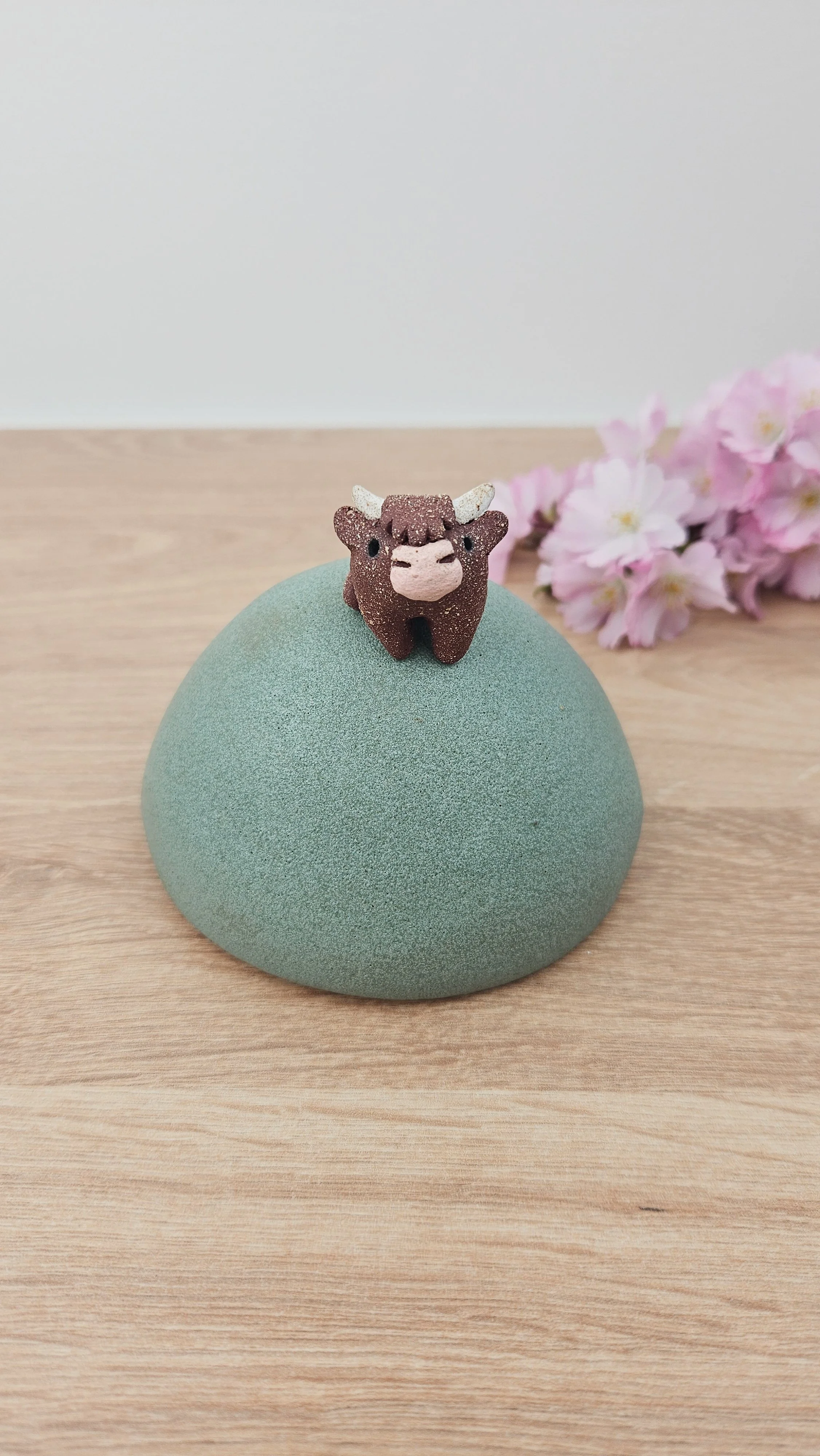 Colline vache 5 20260318_154348.jpg