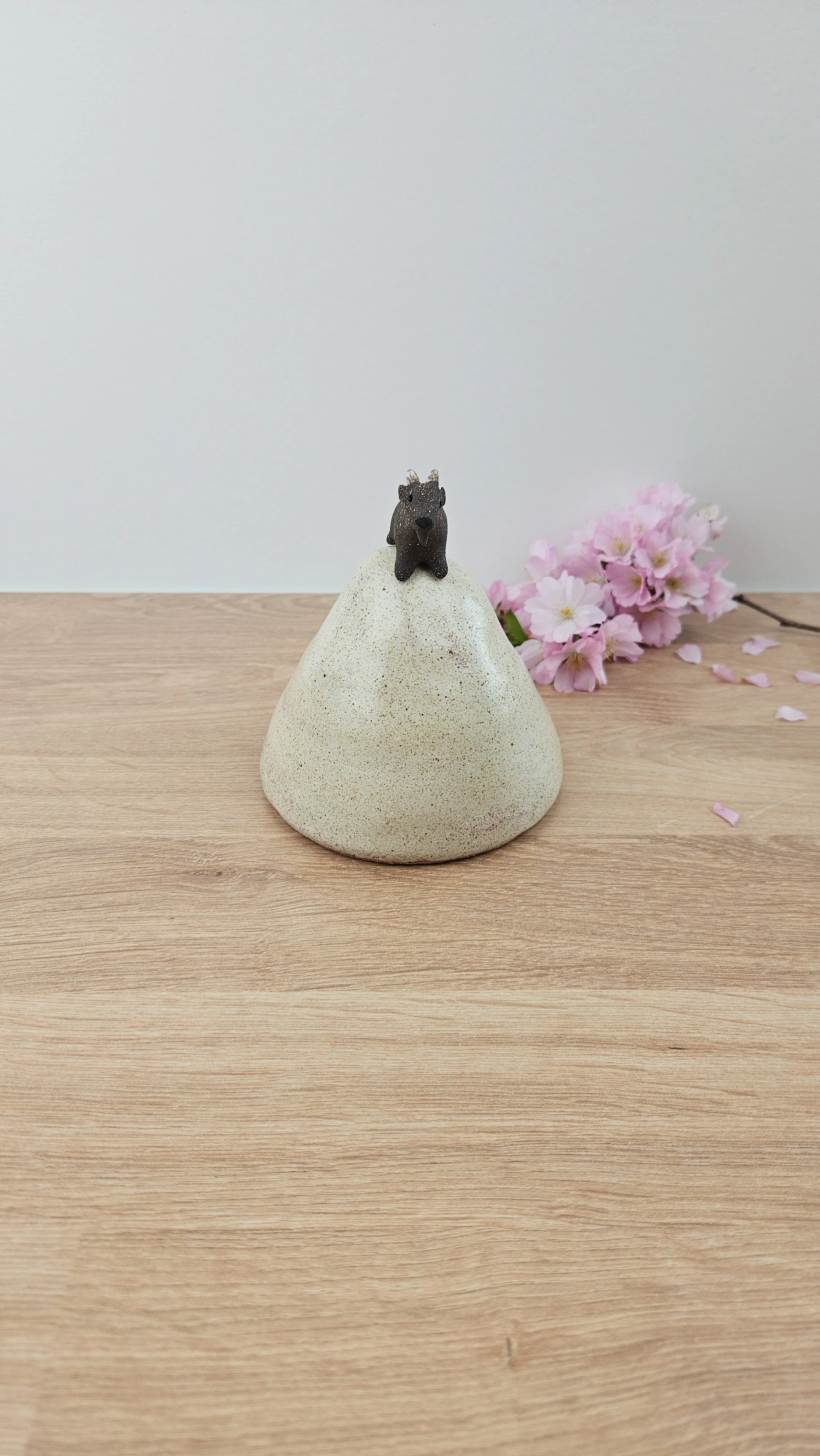 montagne biquette 420260319_142504.jpg