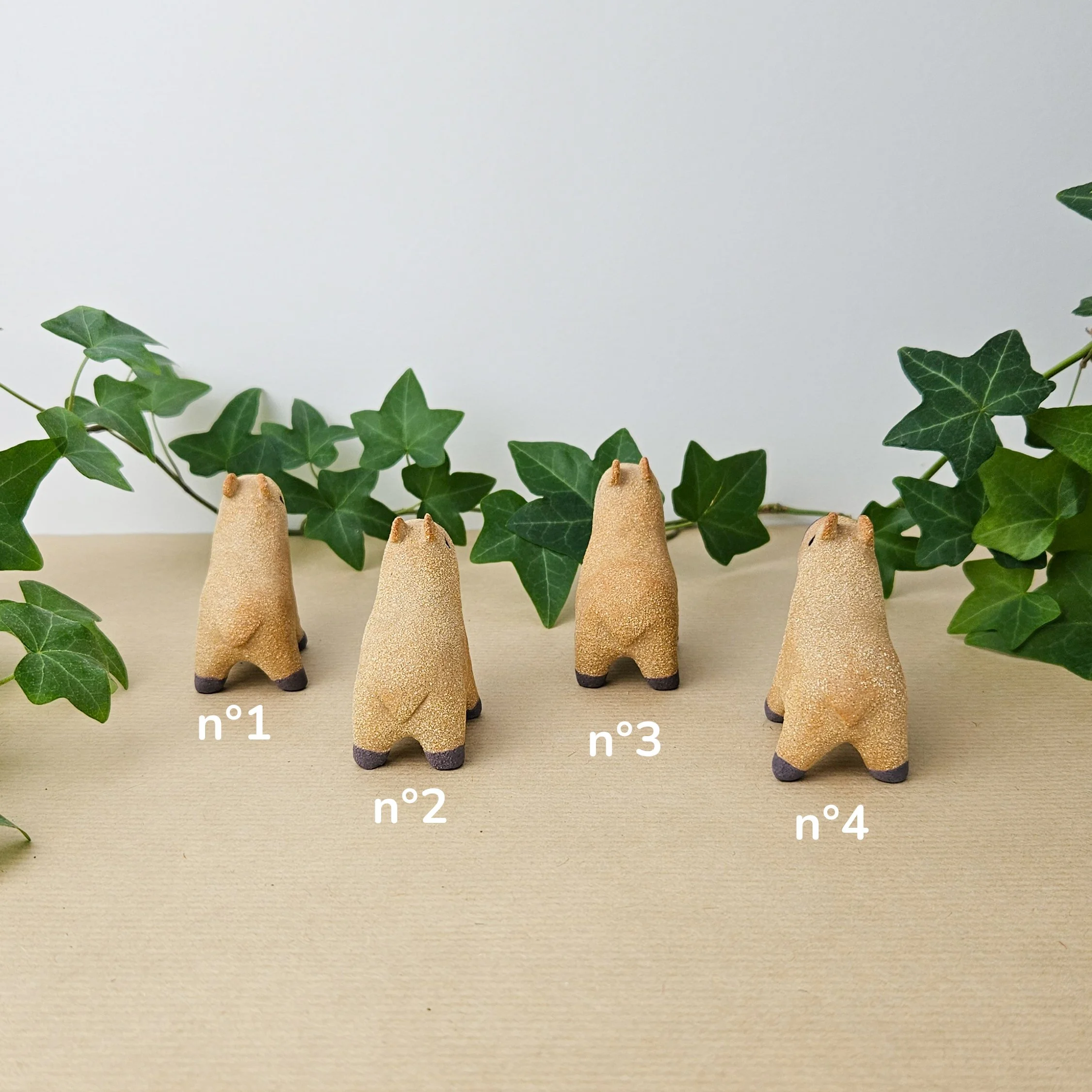 Capybara mini -2.jpg