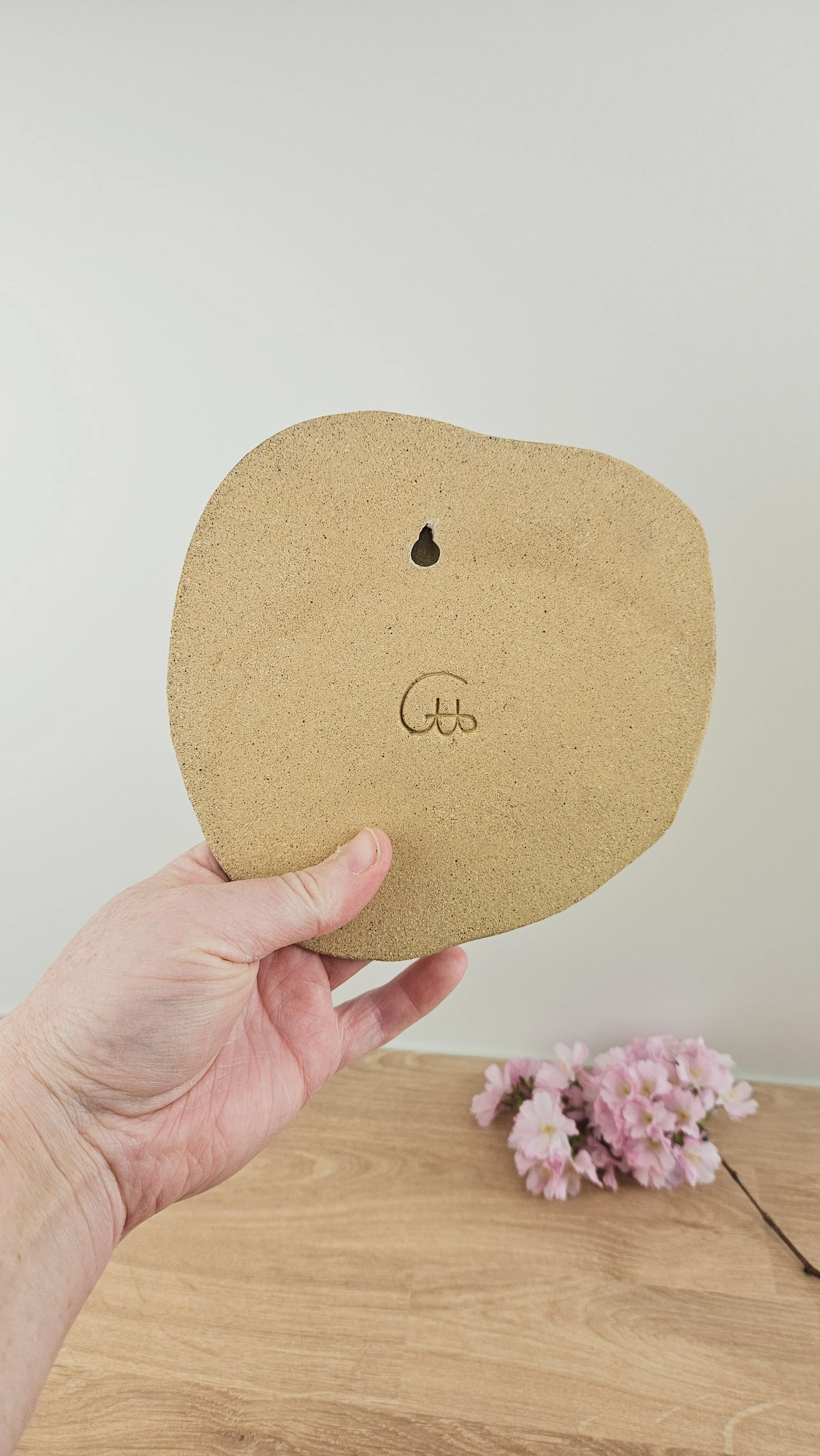 Mouette 20260319_115243.jpg