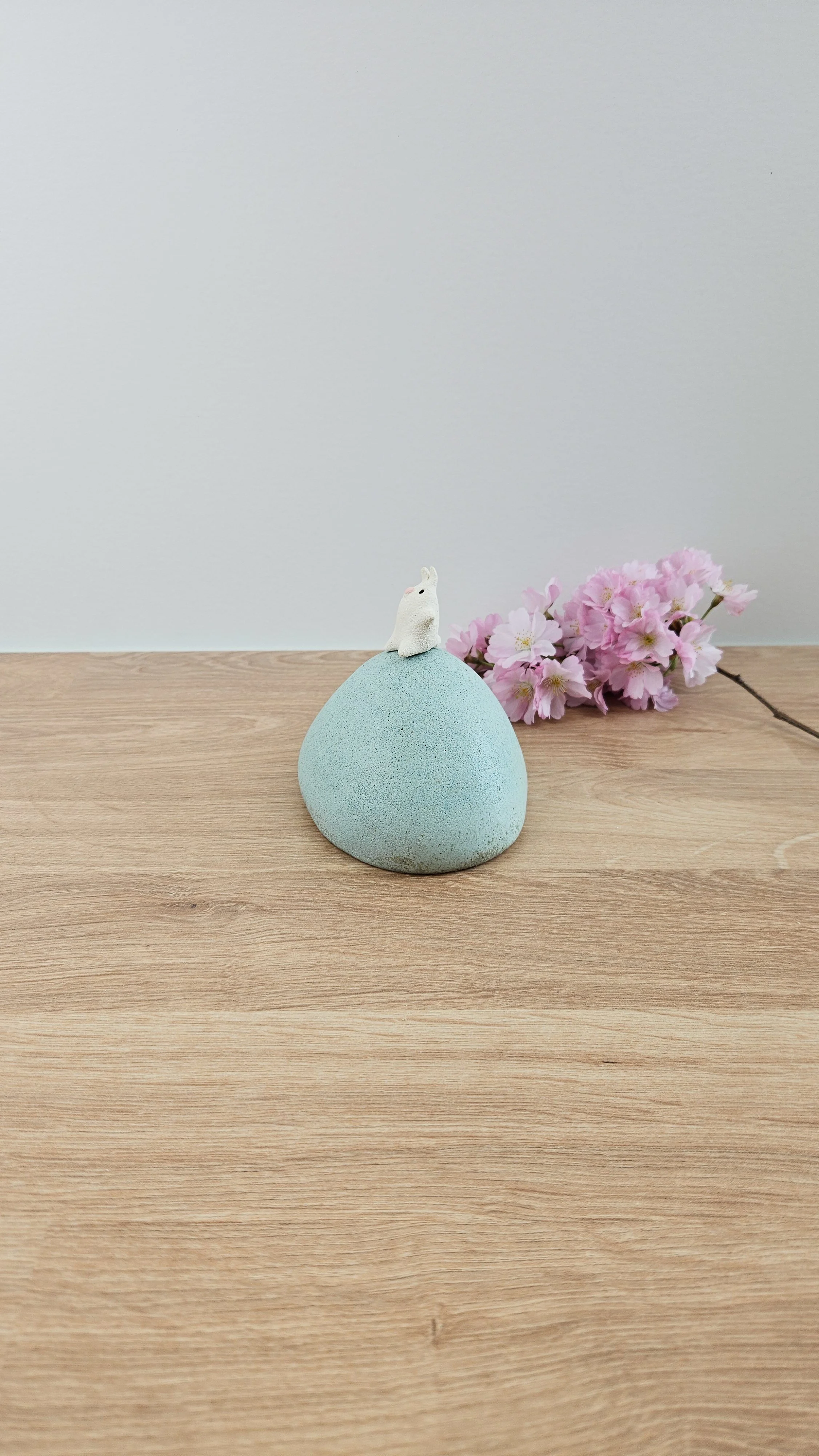 colline lapin 420260319_122406.jpg