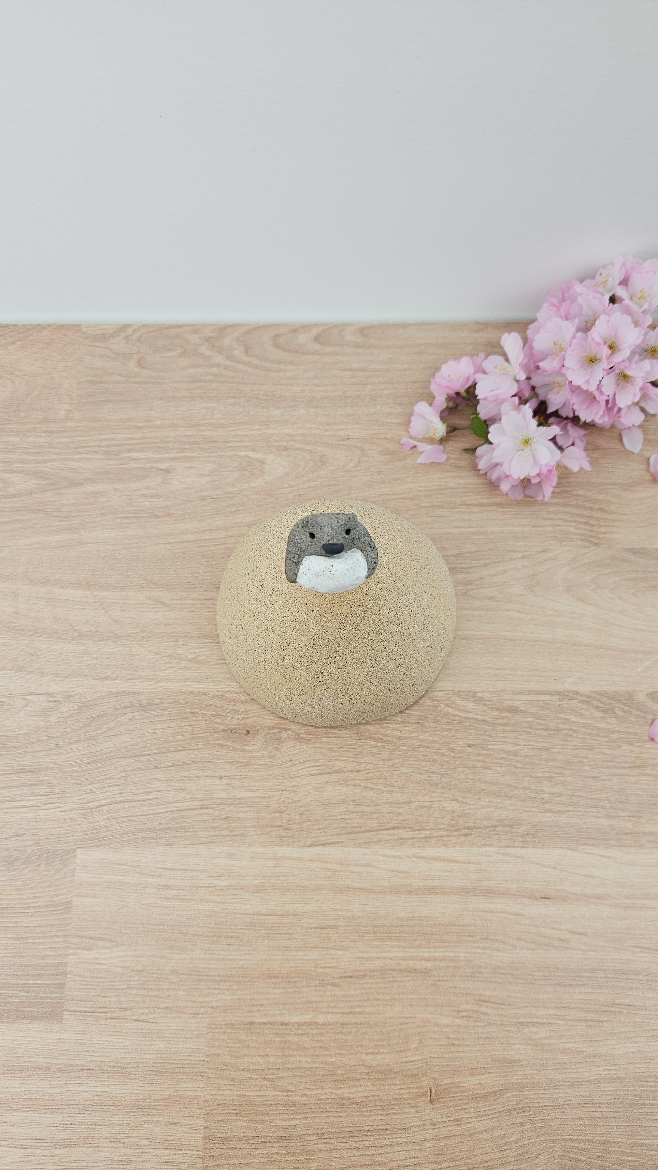 montagne nuage 820260319_144339.jpg