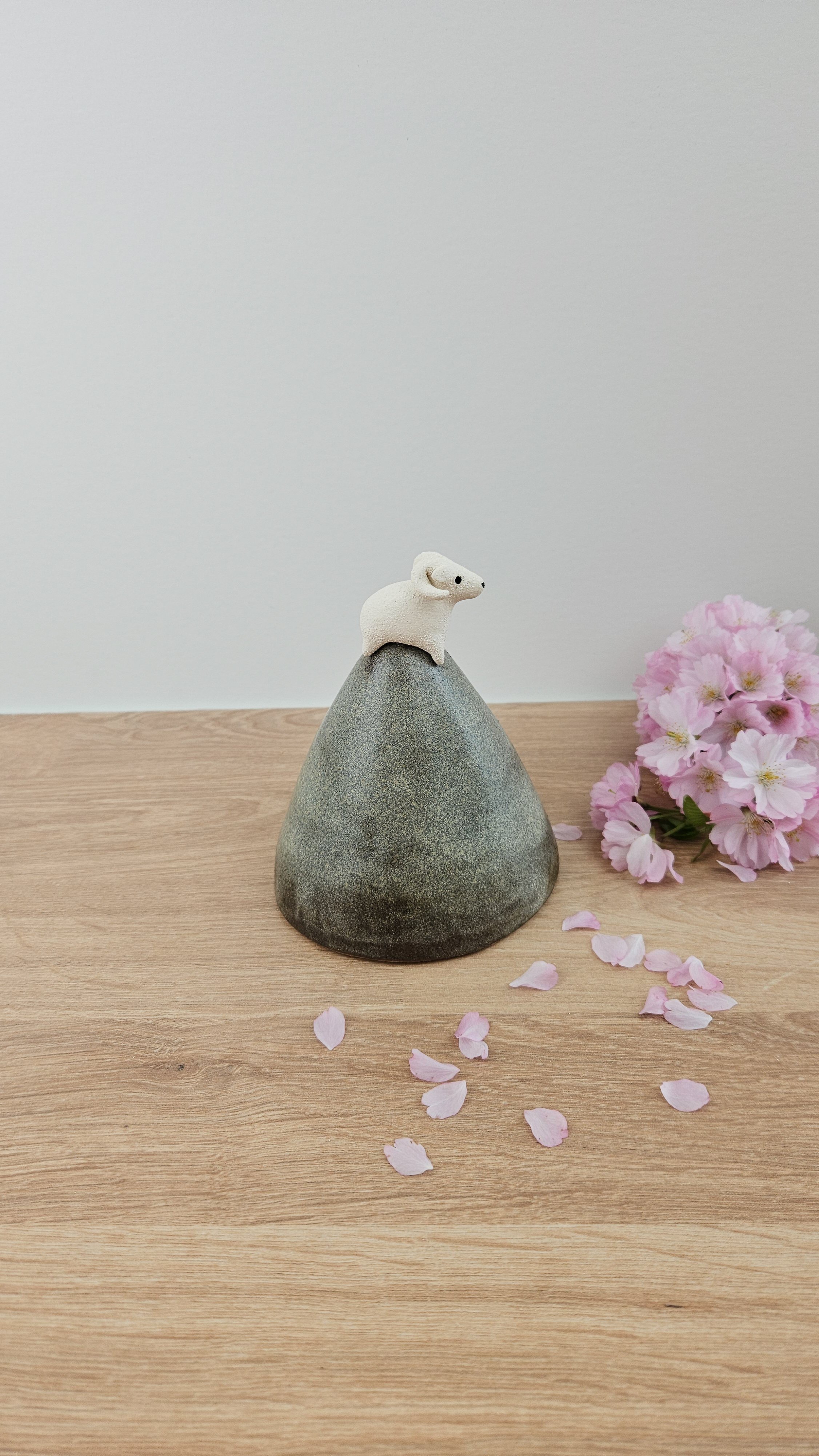 montagne Bouc 220260319_123803.jpg