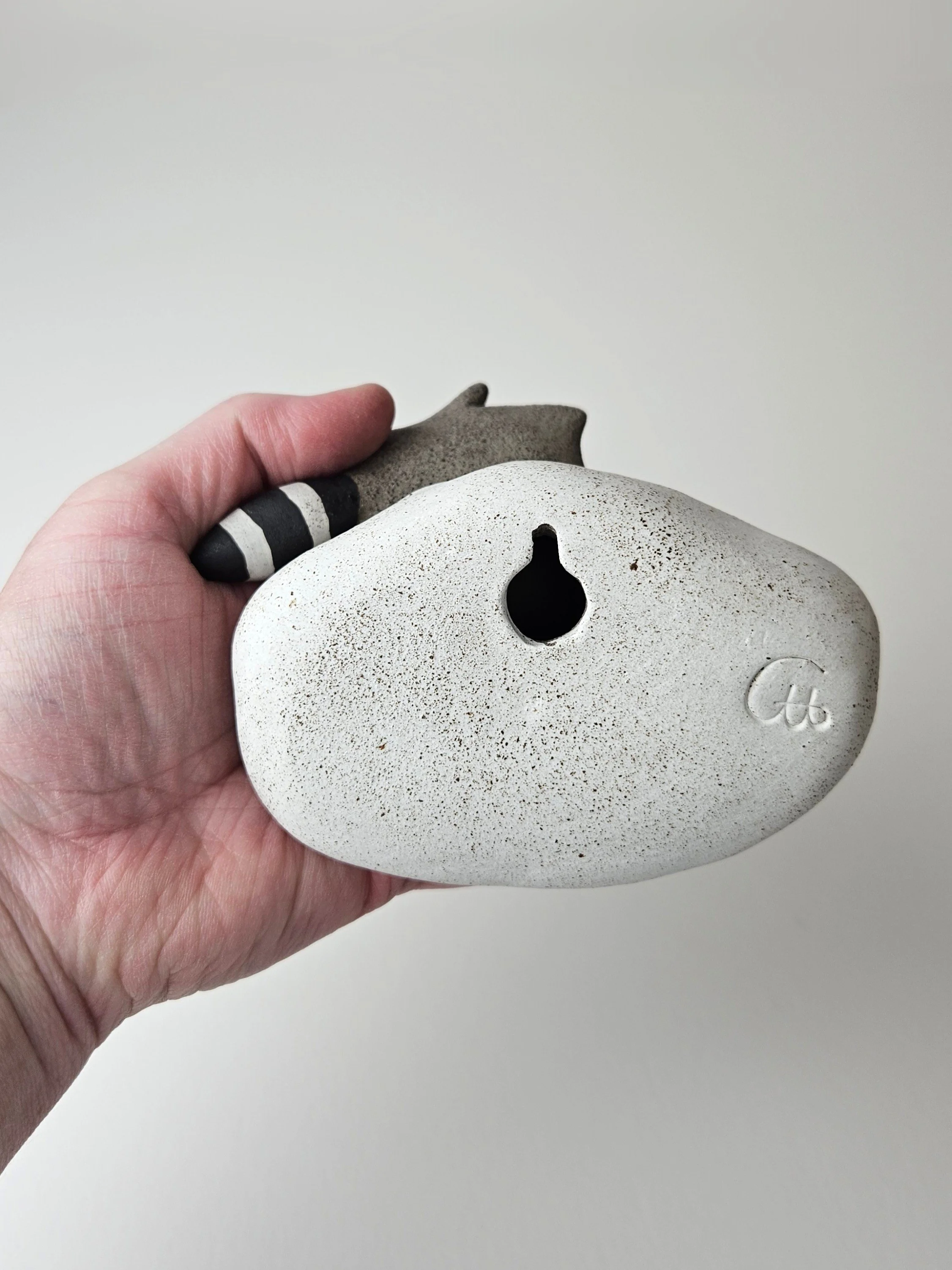 raton nuage 1 (4).jpg