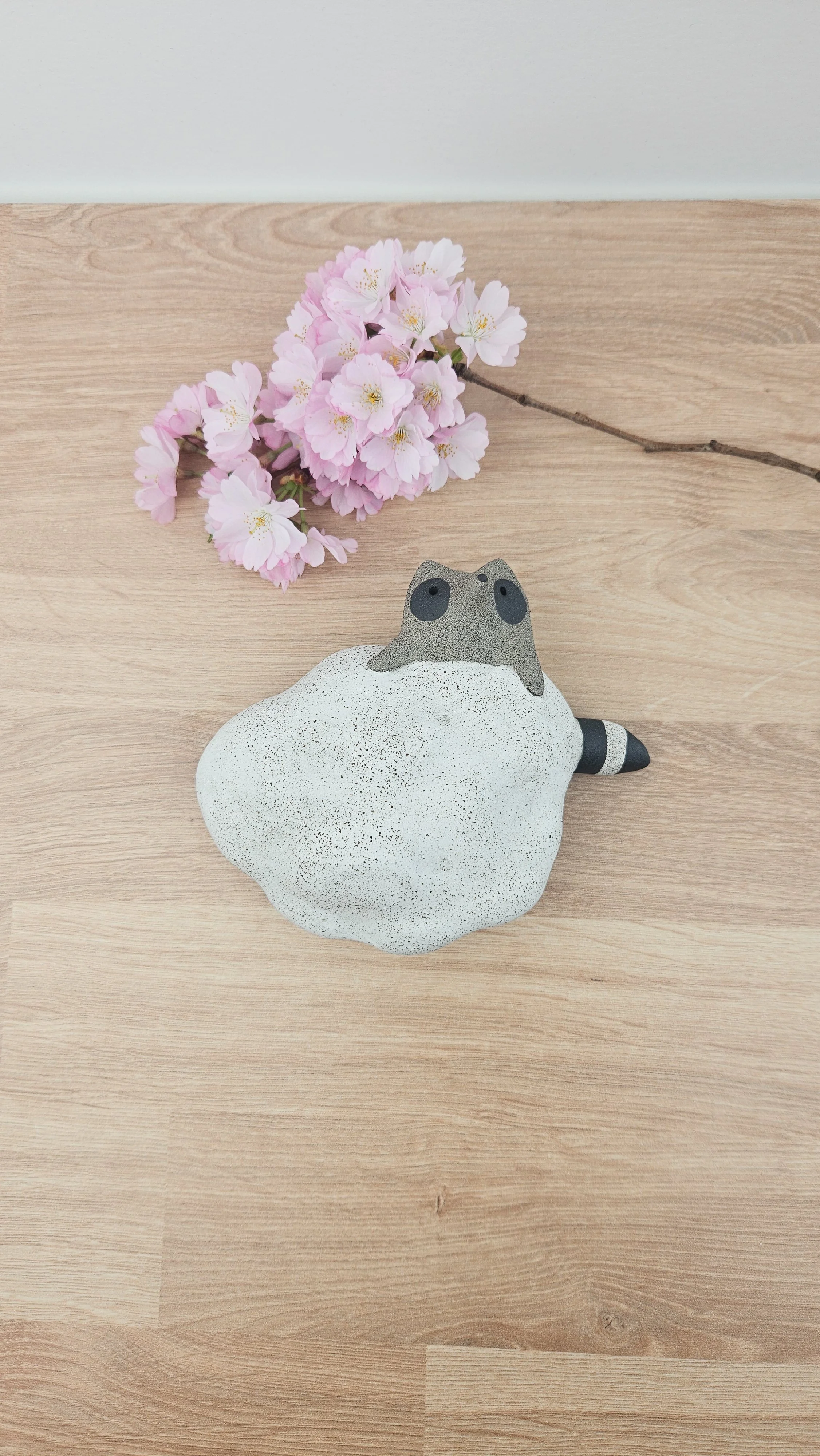 Raton Nuage 1 20260318_143304.jpg