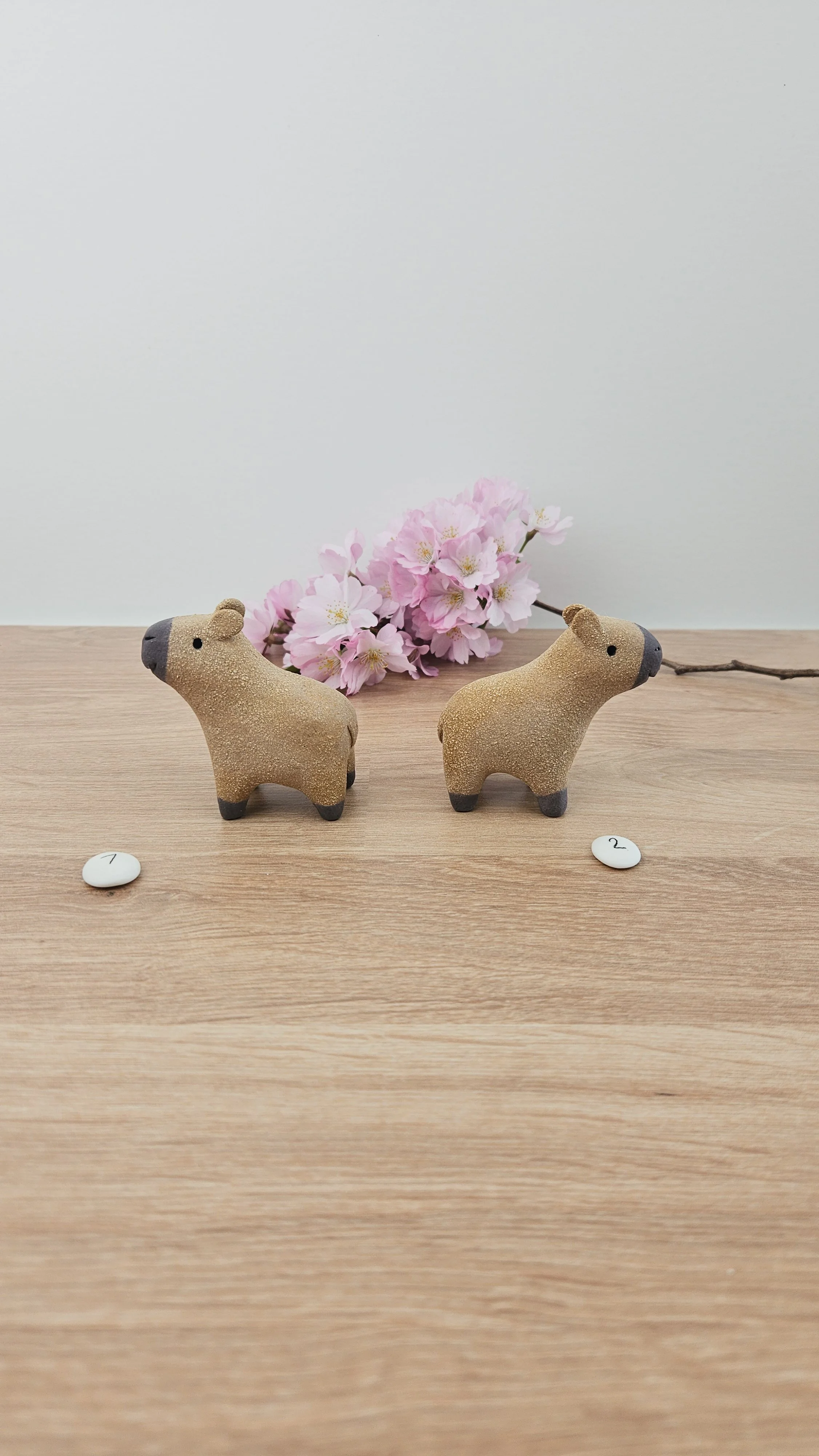 Mini Capy 20260318_133549.jpg