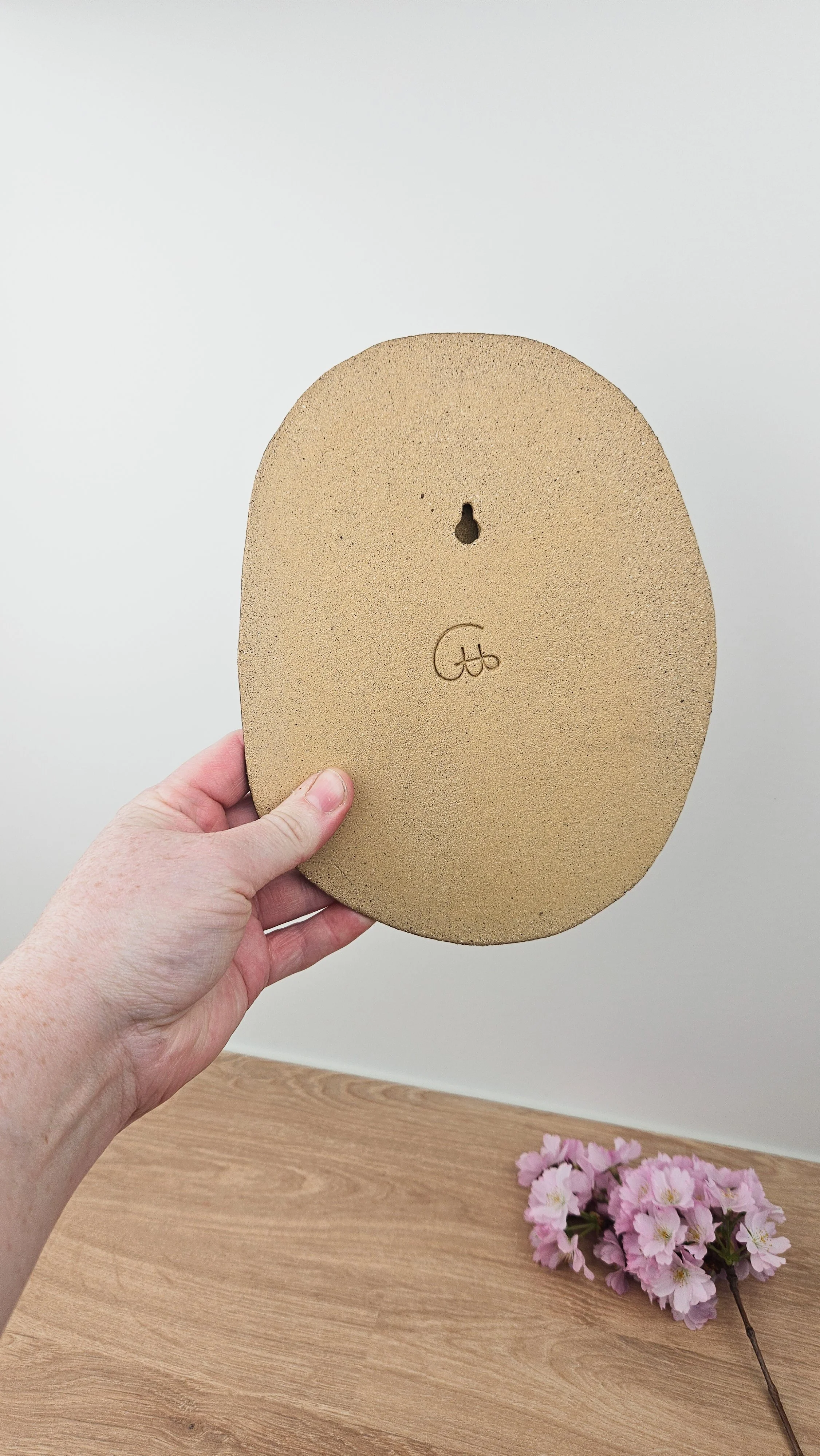 Plaque d'algues 20260318_160109.jpg