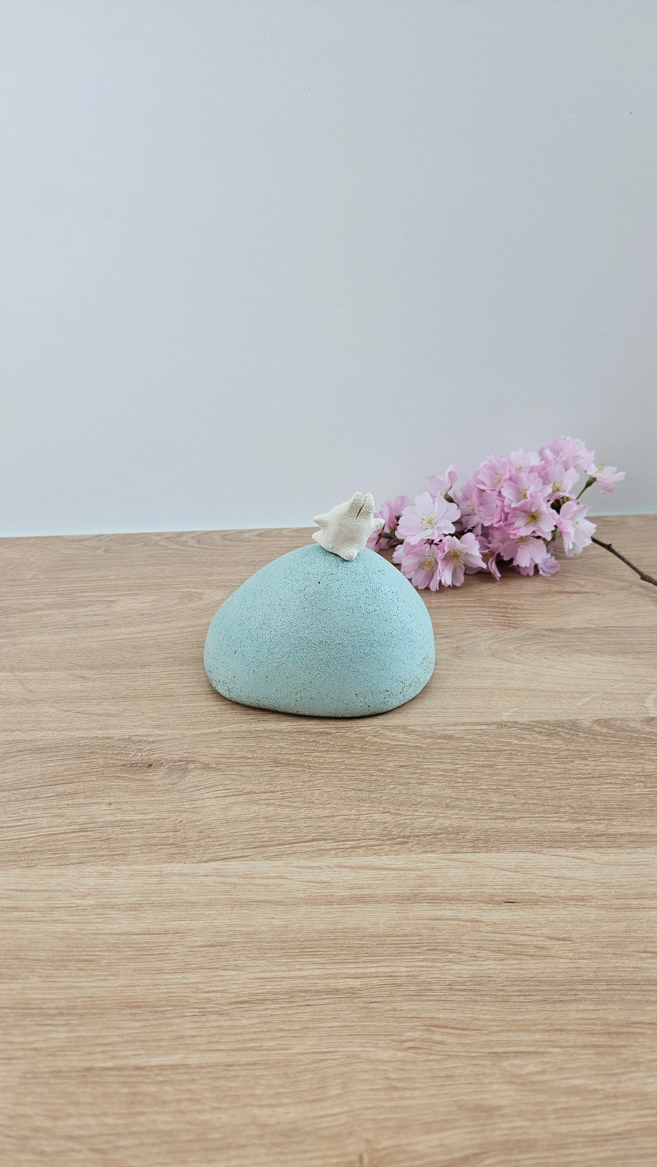 colline lapin 420260319_122403.jpg