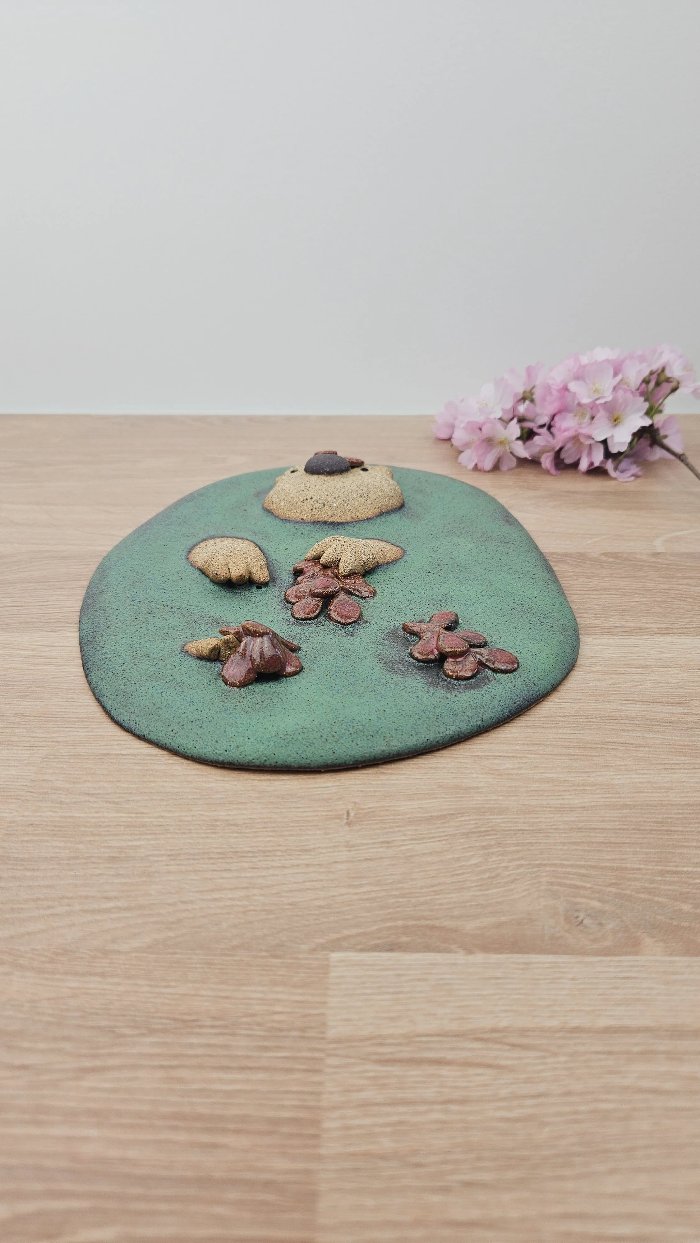 Plaque d'algues 20260318_160049.jpg